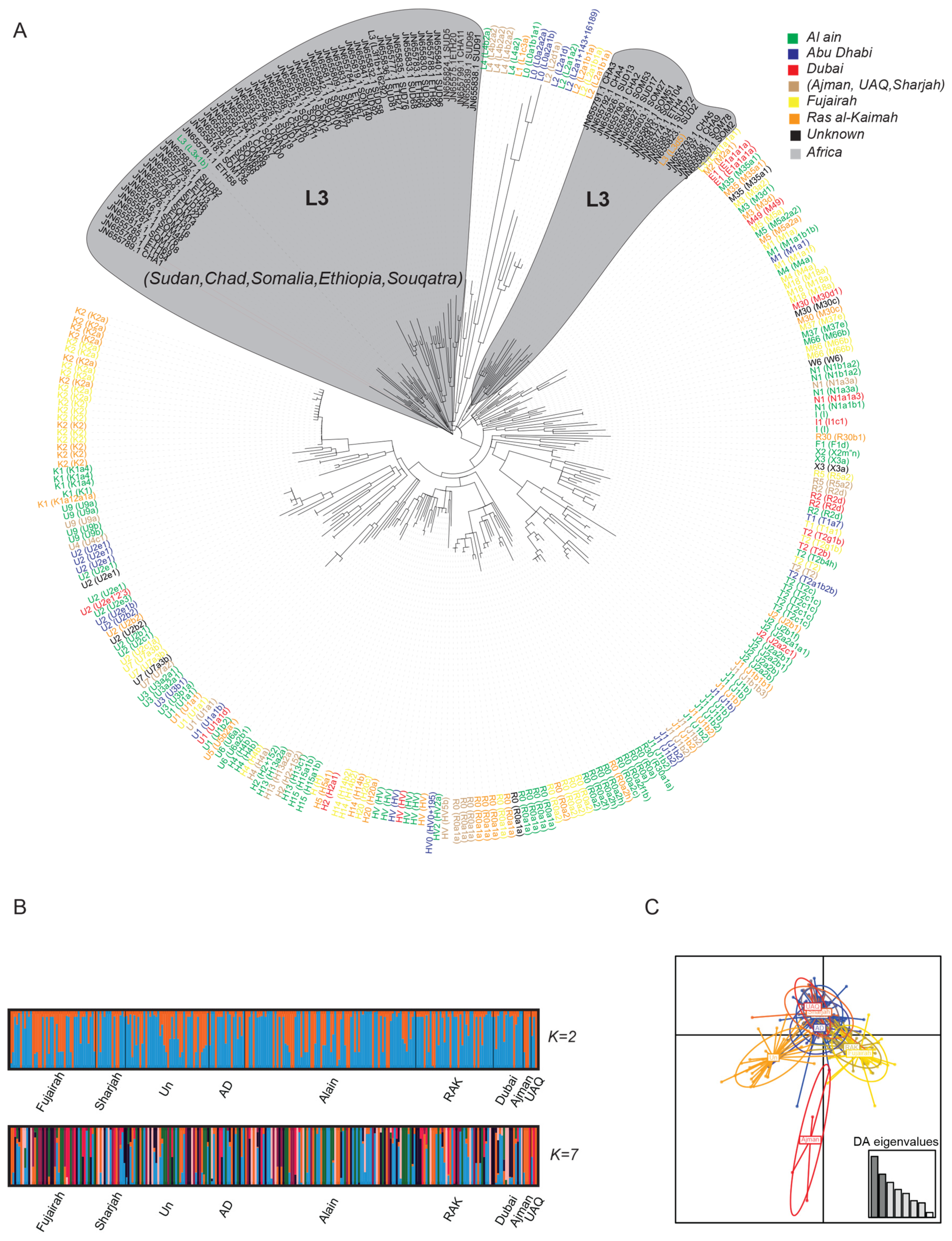 Genes 11 00876 g003 Genes 11 00876 g003
