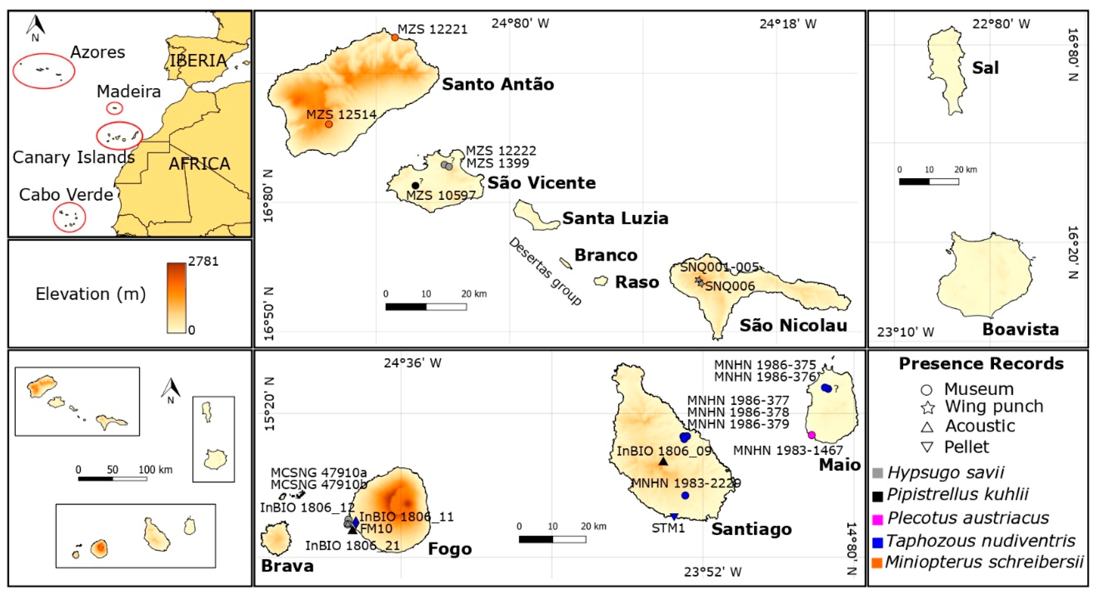 Genes 11 00877 g001 Genes 11 00877 g001