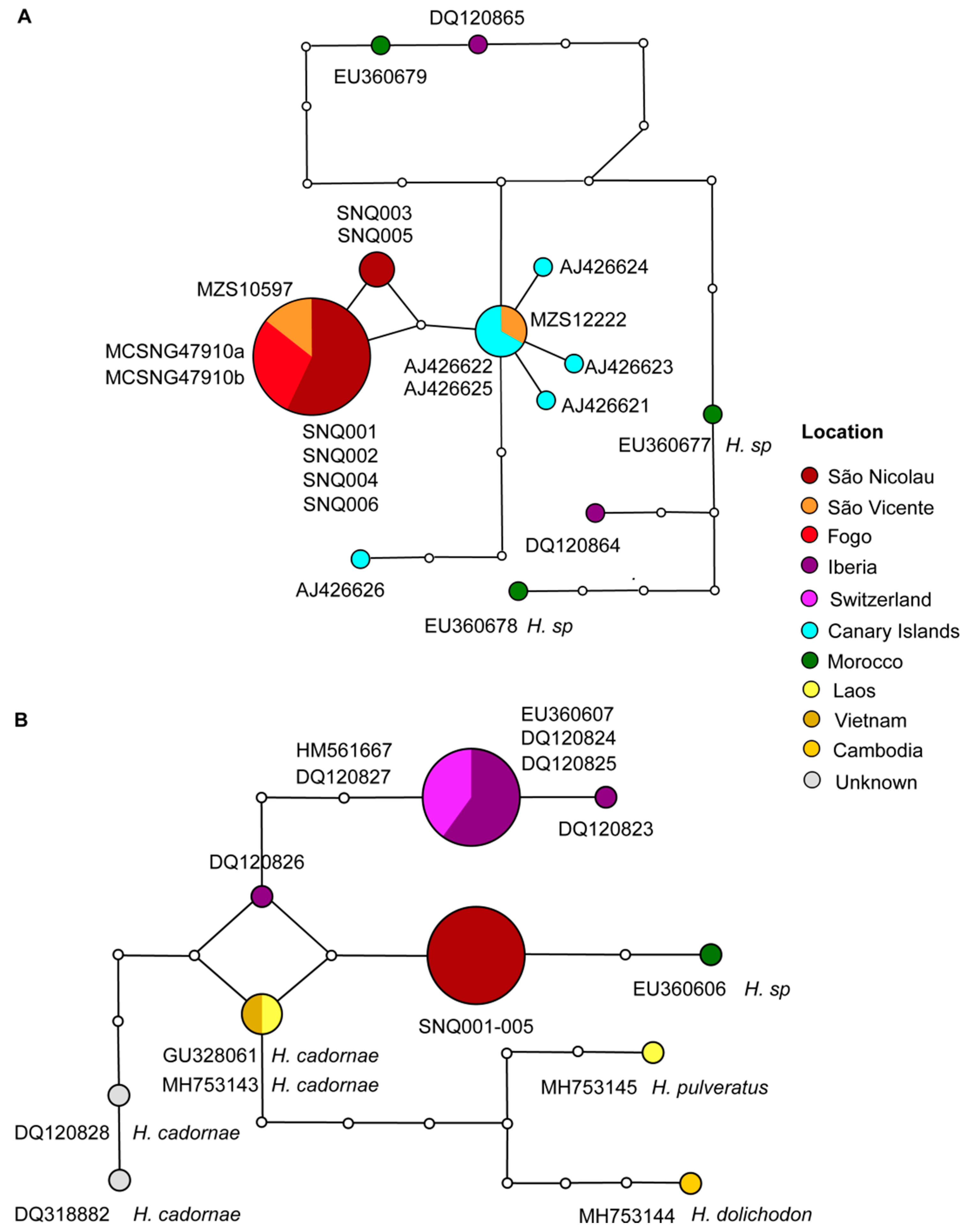Genes 11 00877 g004 Genes 11 00877 g004