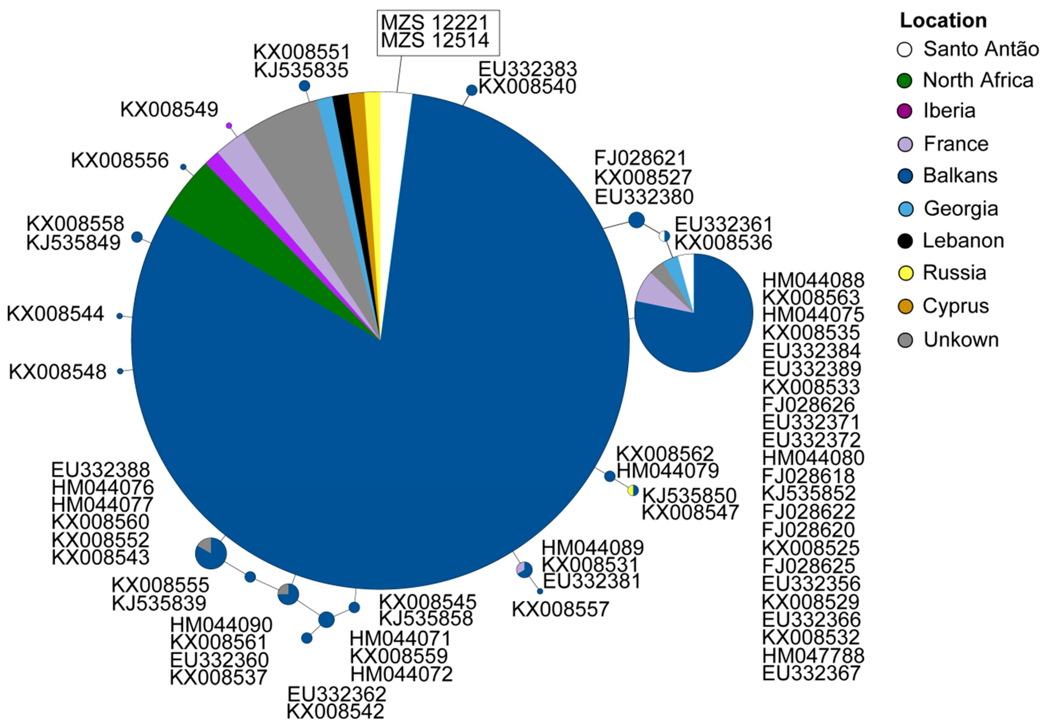 Genes 11 00877 g006 Genes 11 00877 g006