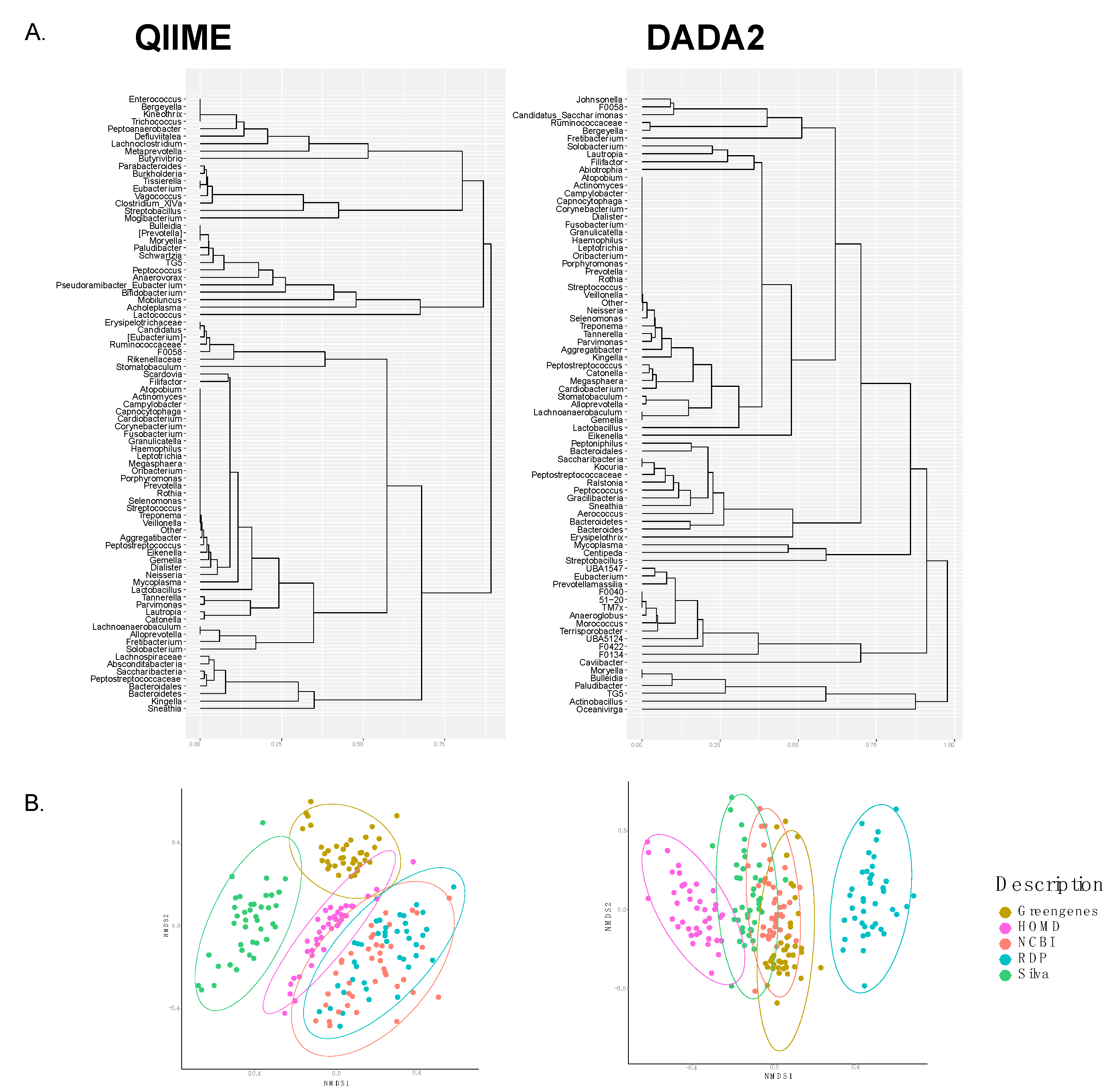 Genes 11 00878 g003 Genes 11 00878 g003
