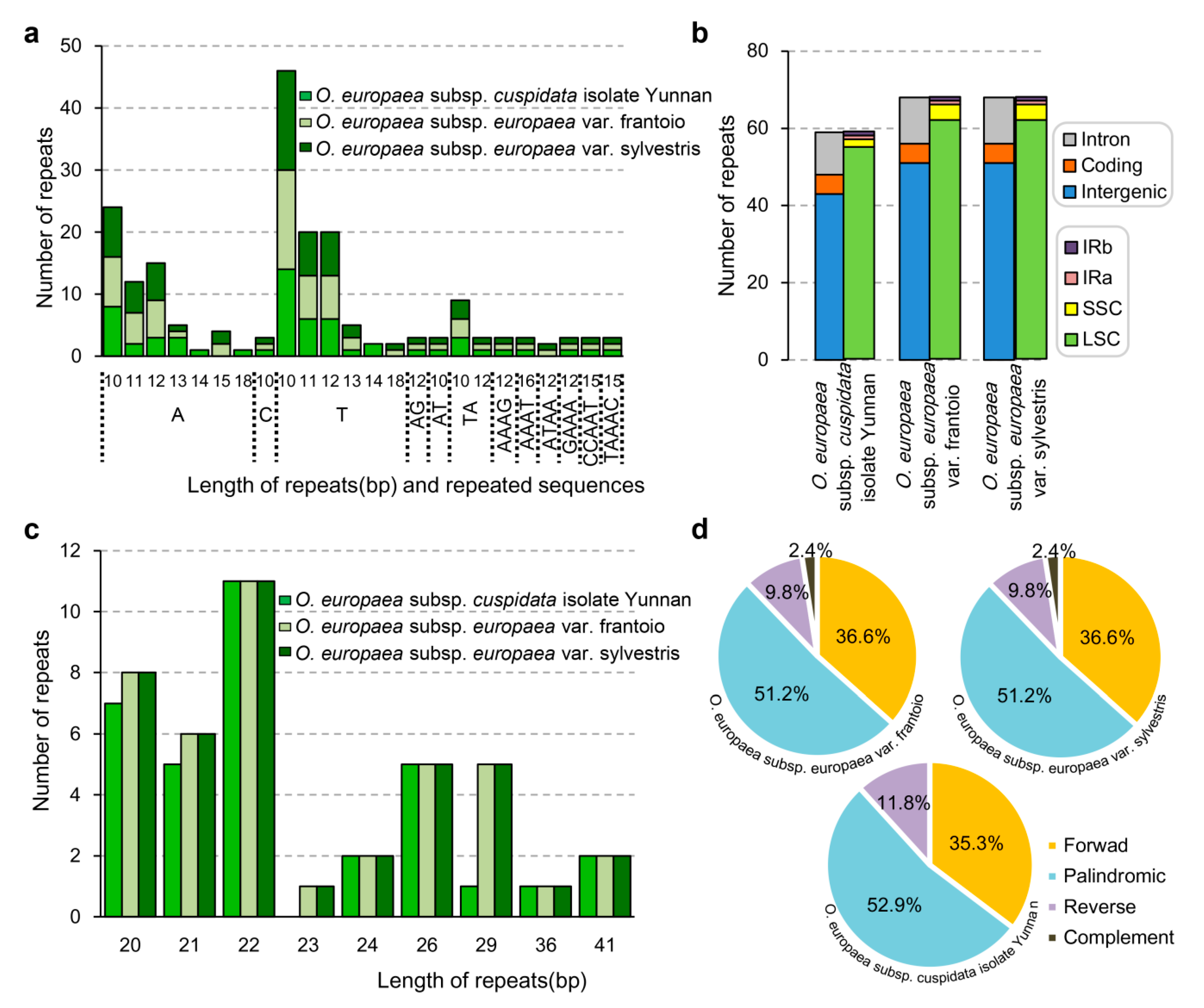 Genes 11 00879 g005 Genes 11 00879 g005
