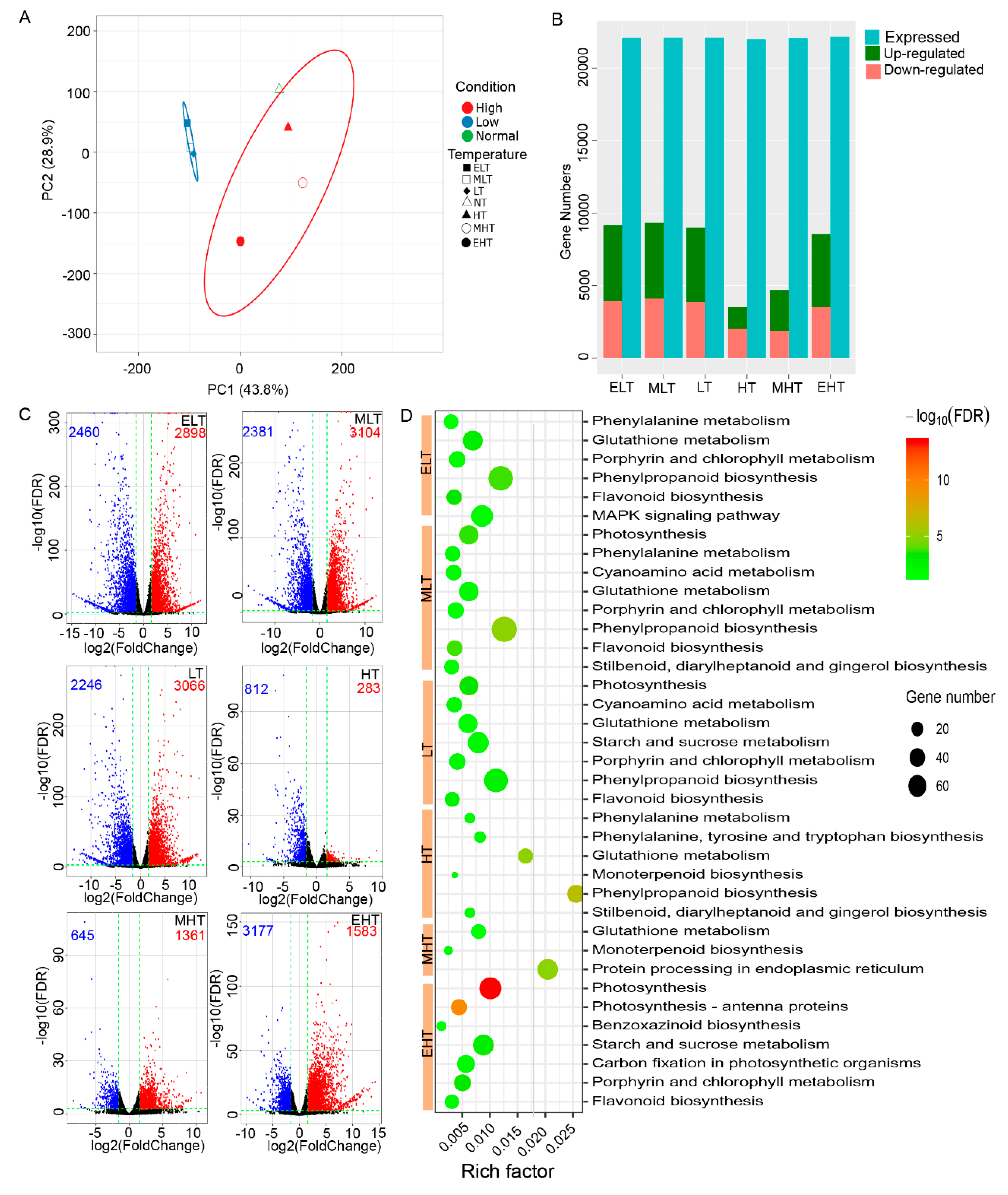 Genes 11 00881 g001 Genes 11 00881 g001