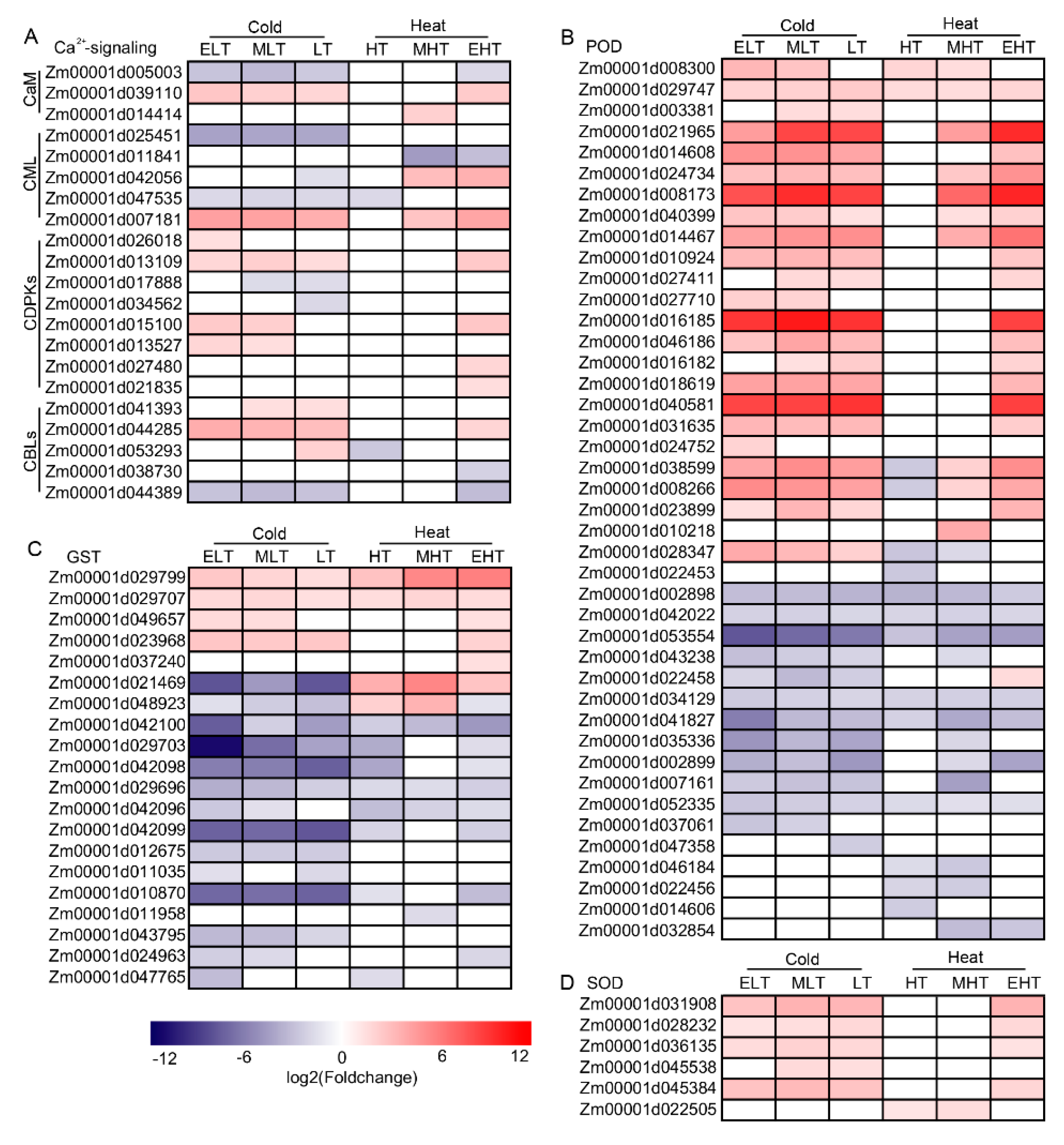 Genes 11 00881 g003 Genes 11 00881 g003