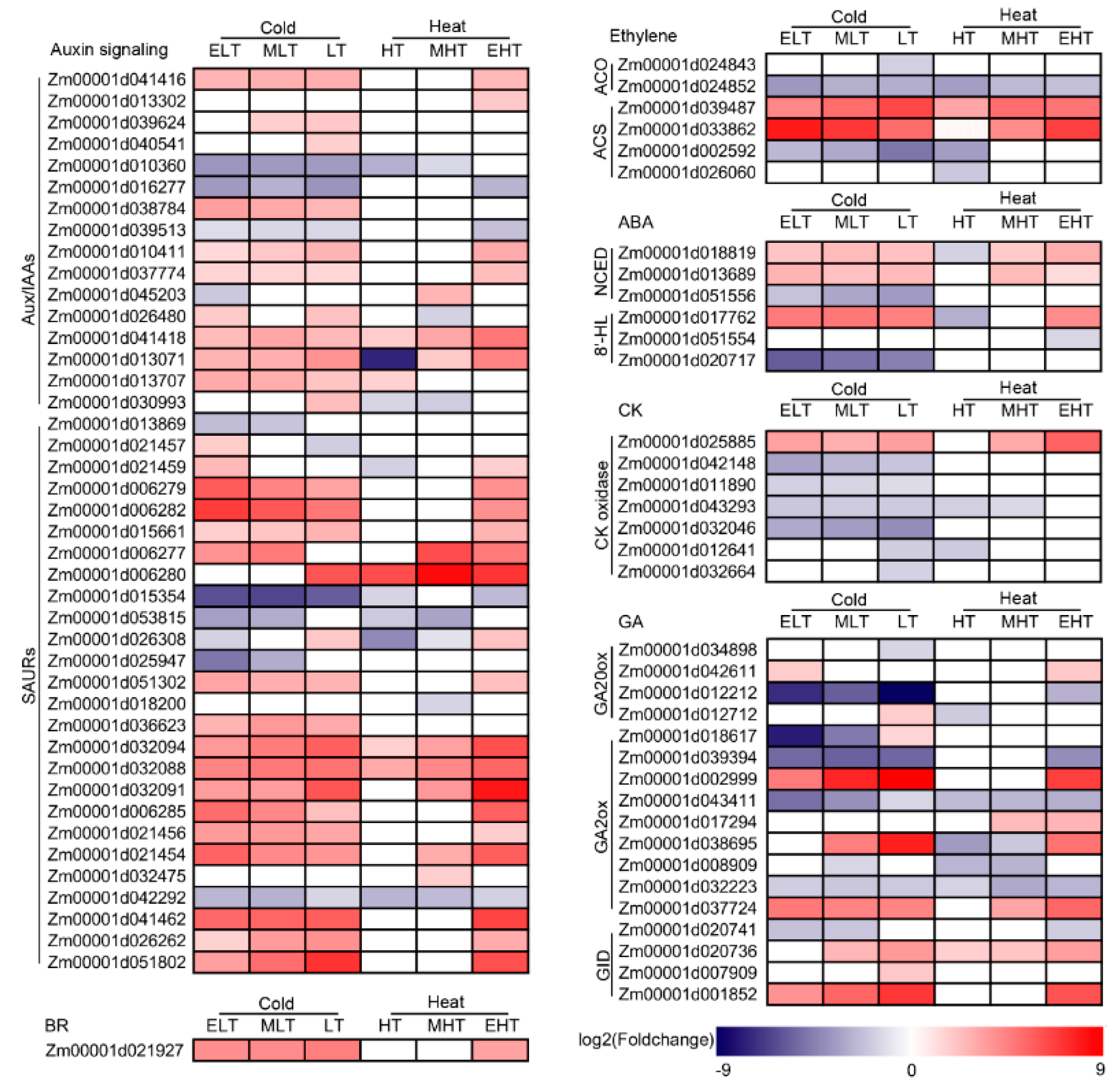 Genes 11 00881 g005 Genes 11 00881 g005
