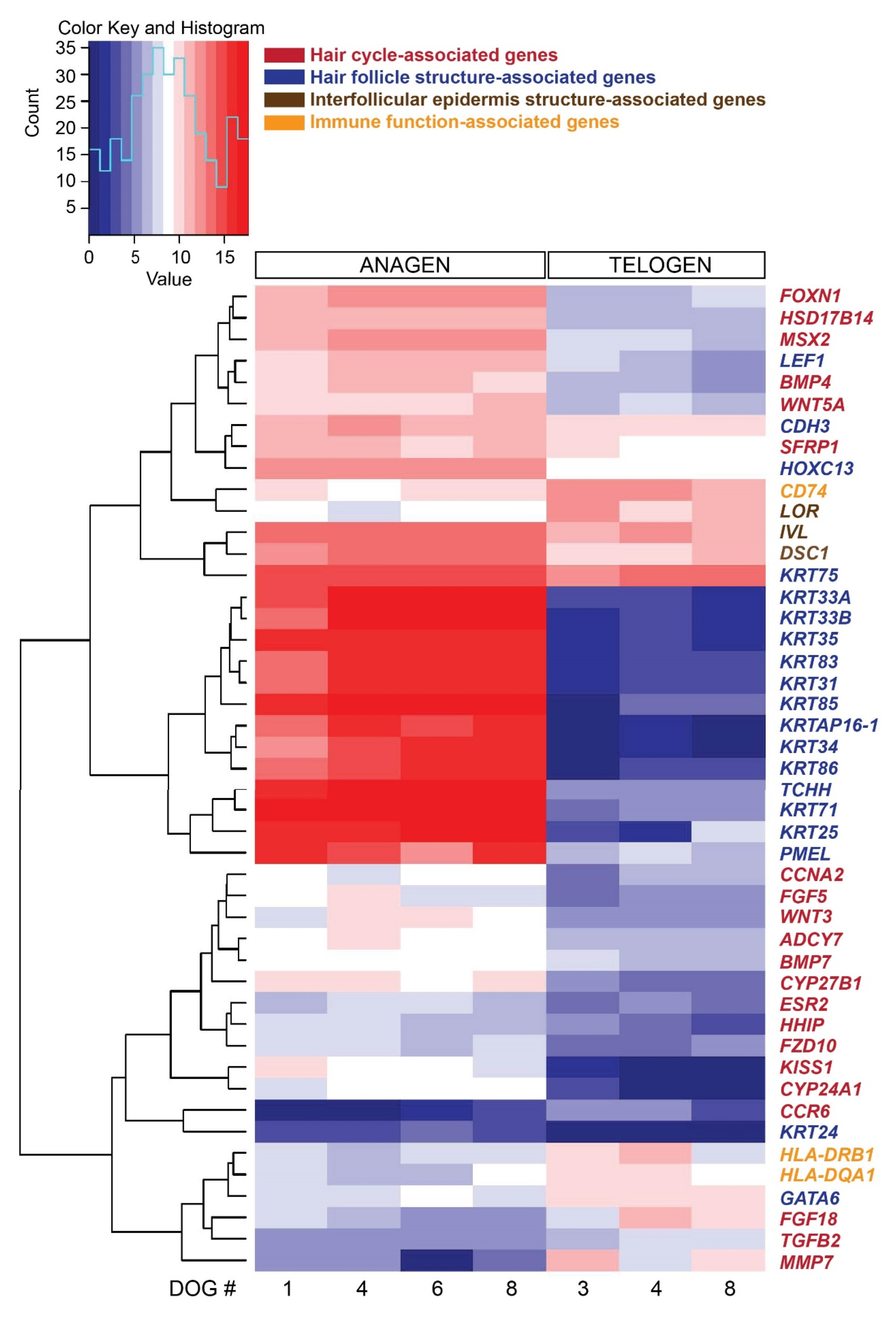 Genes 11 00884 g003 Genes 11 00884 g003
