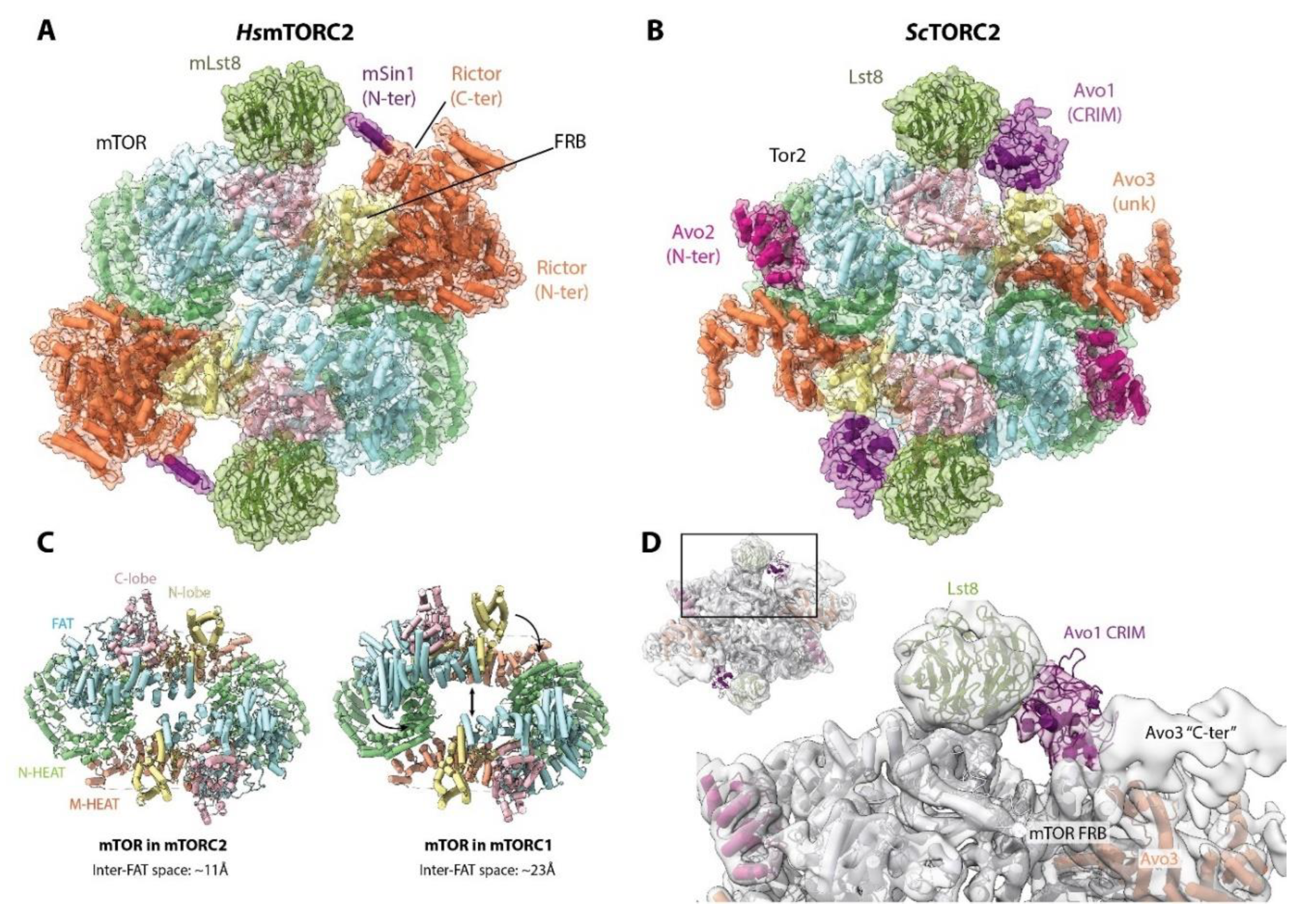 Genes 11 00885 g007 Genes 11 00885 g007