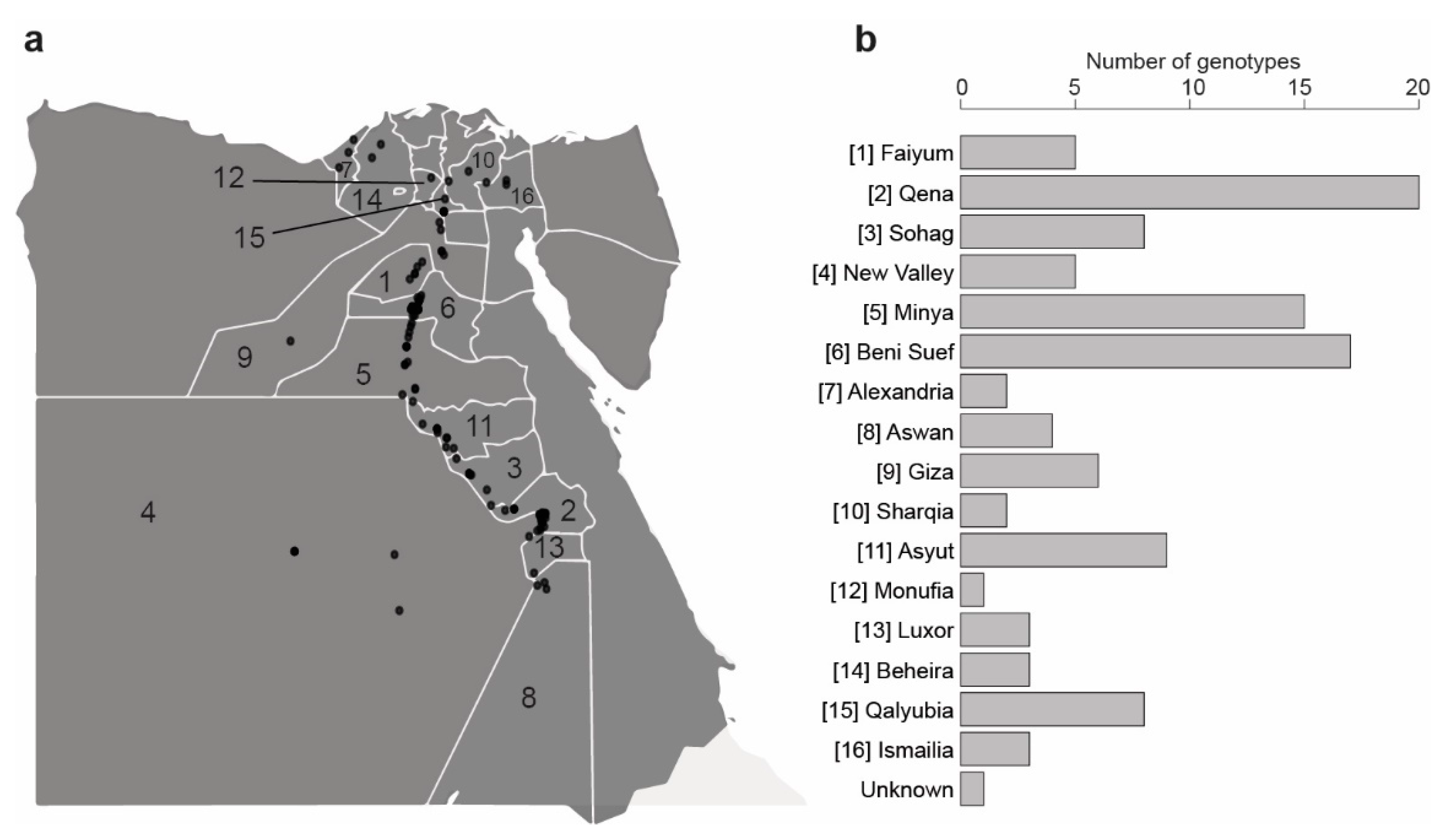 Genes 11 00893 g001