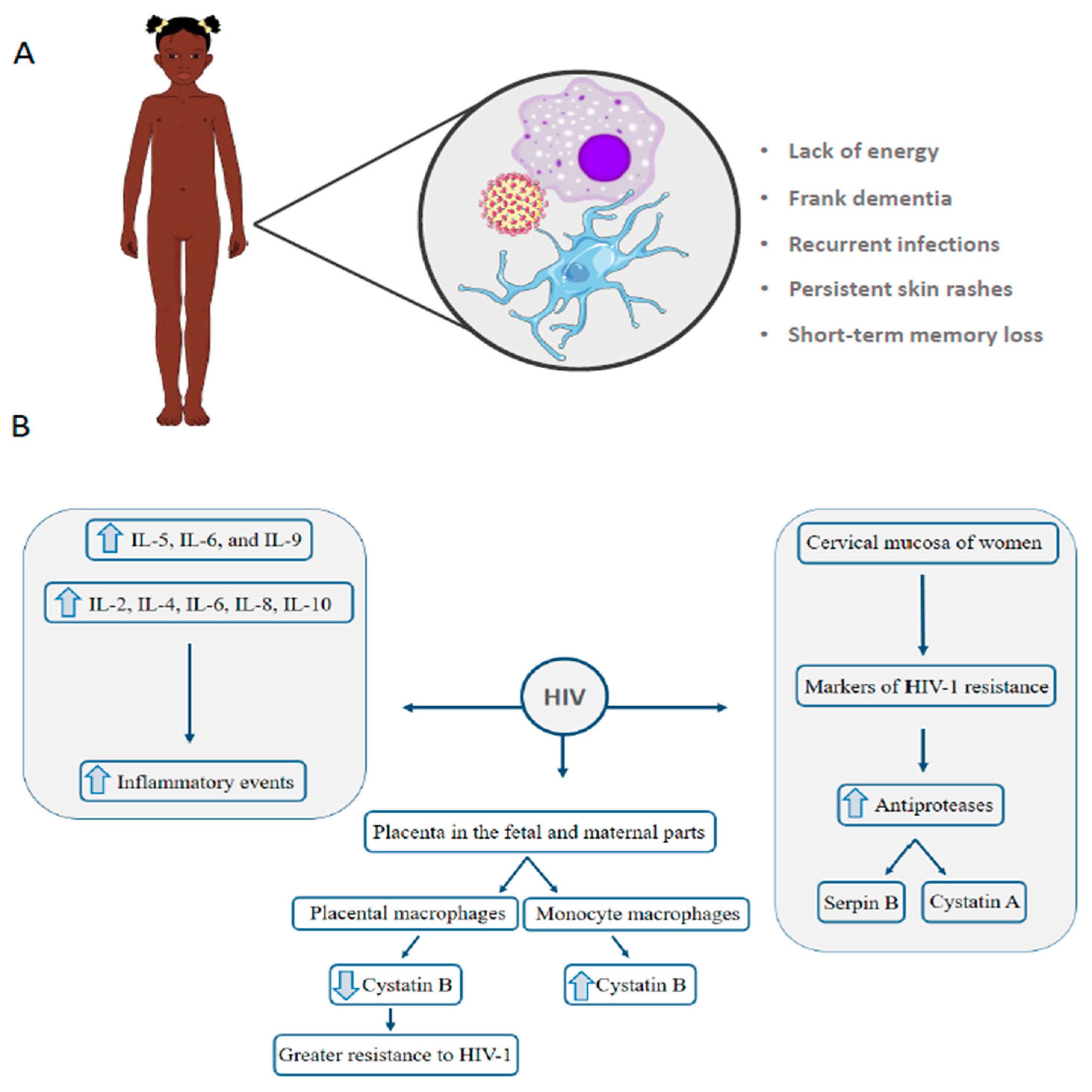Genes 11 00894 g003 Genes 11 00894 g003