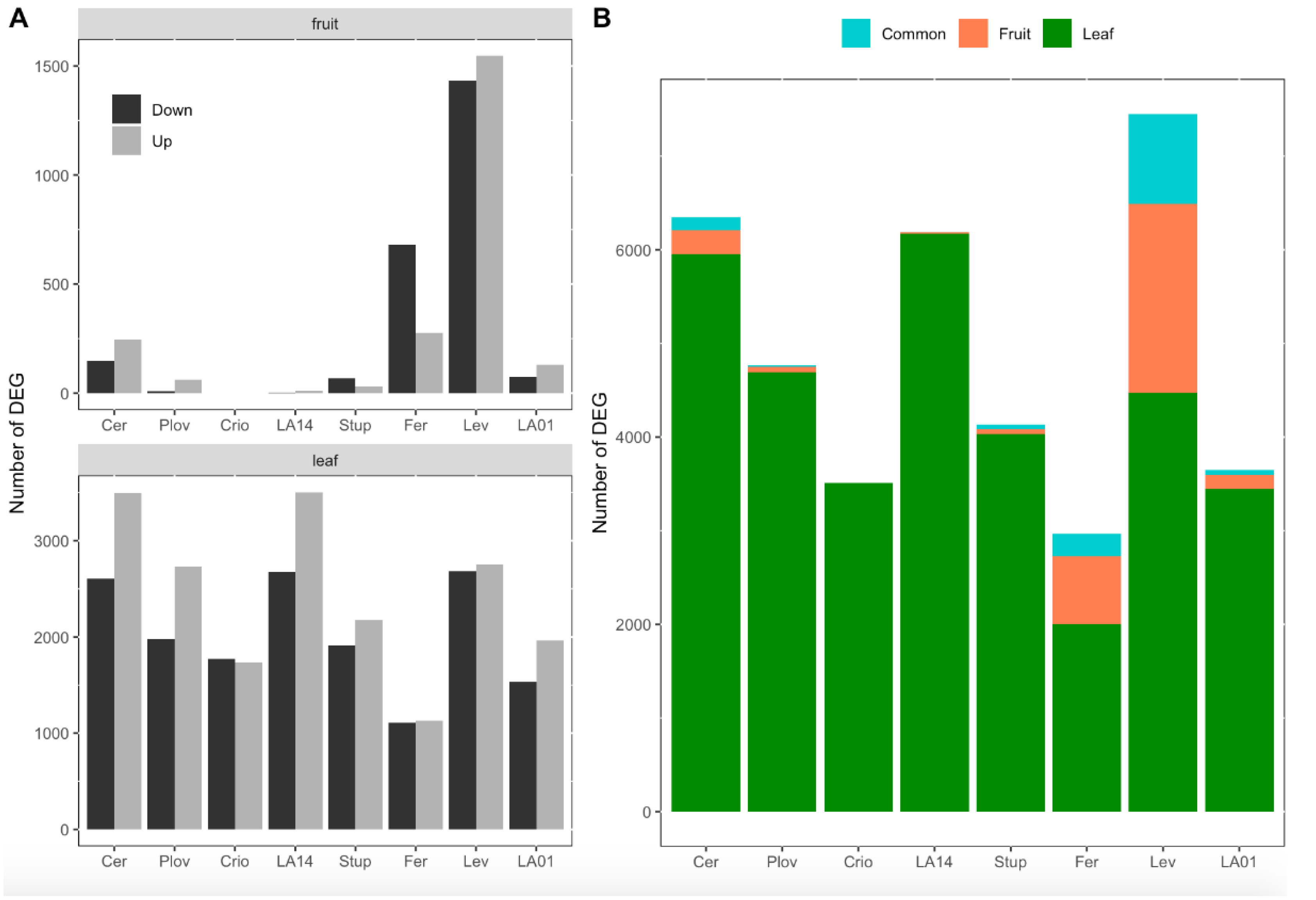 Genes 11 00900 g003