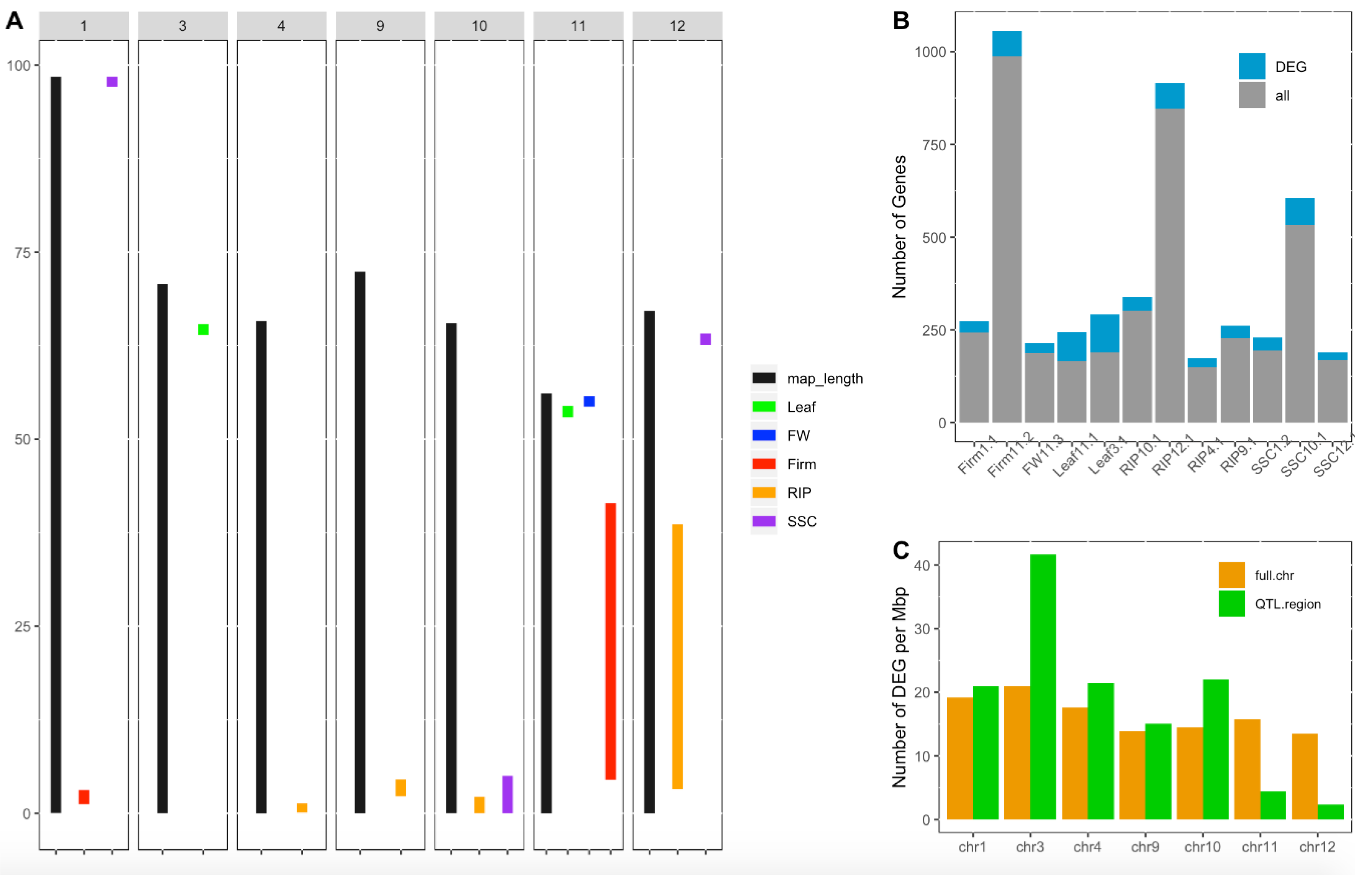 Genes 11 00900 g004