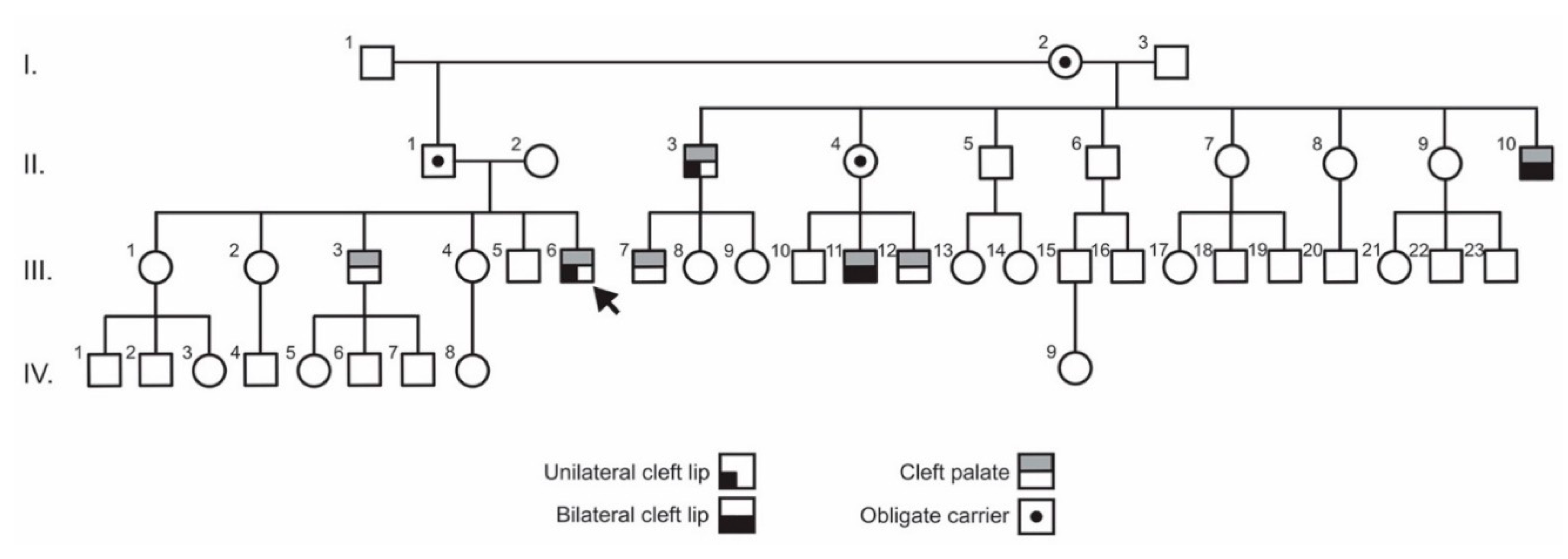 Genes 11 00903 g001 Genes 11 00903 g001