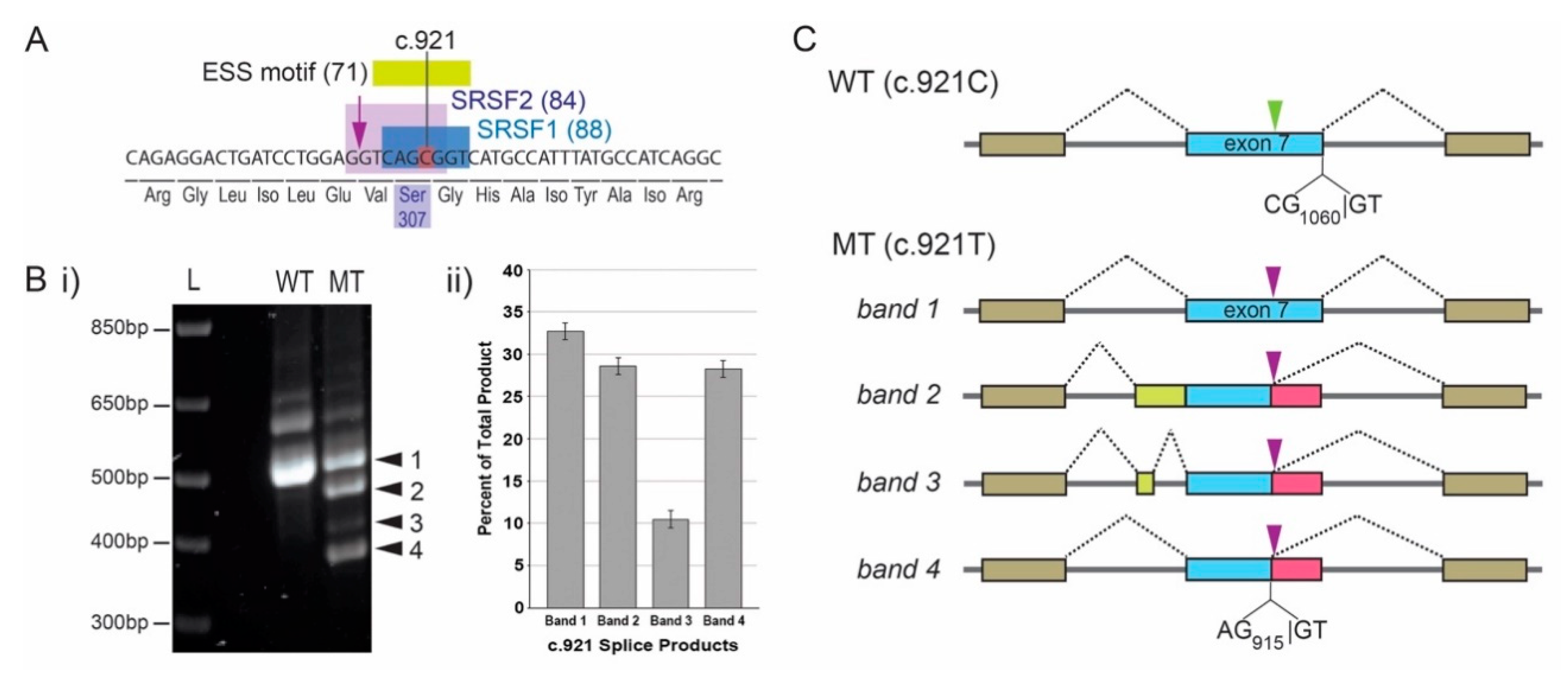 Genes 11 00903 g002 Genes 11 00903 g002
