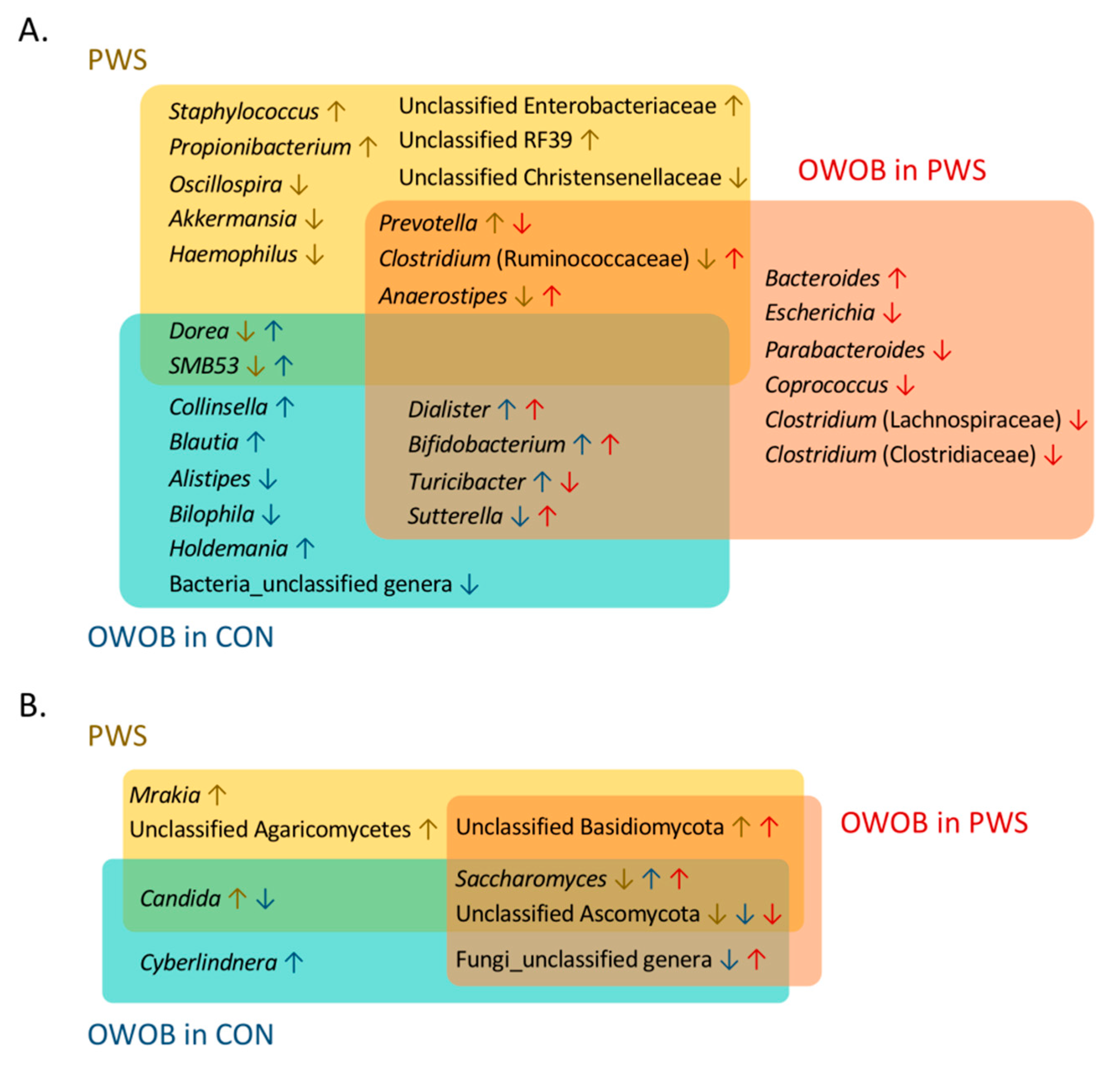 Genes 11 00904 g003