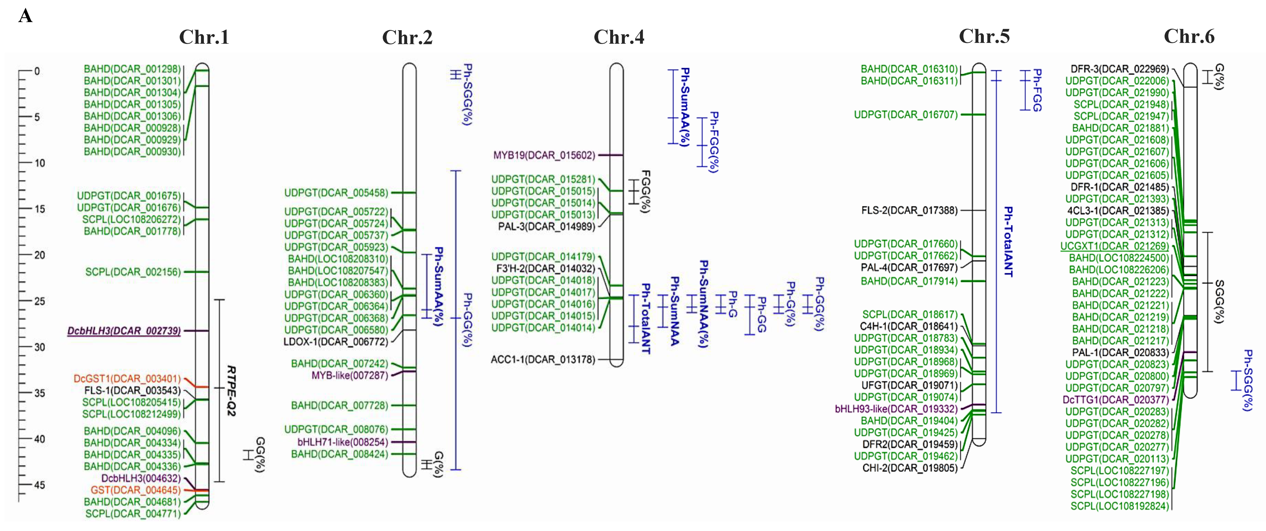 Genes 11 00906 g002a