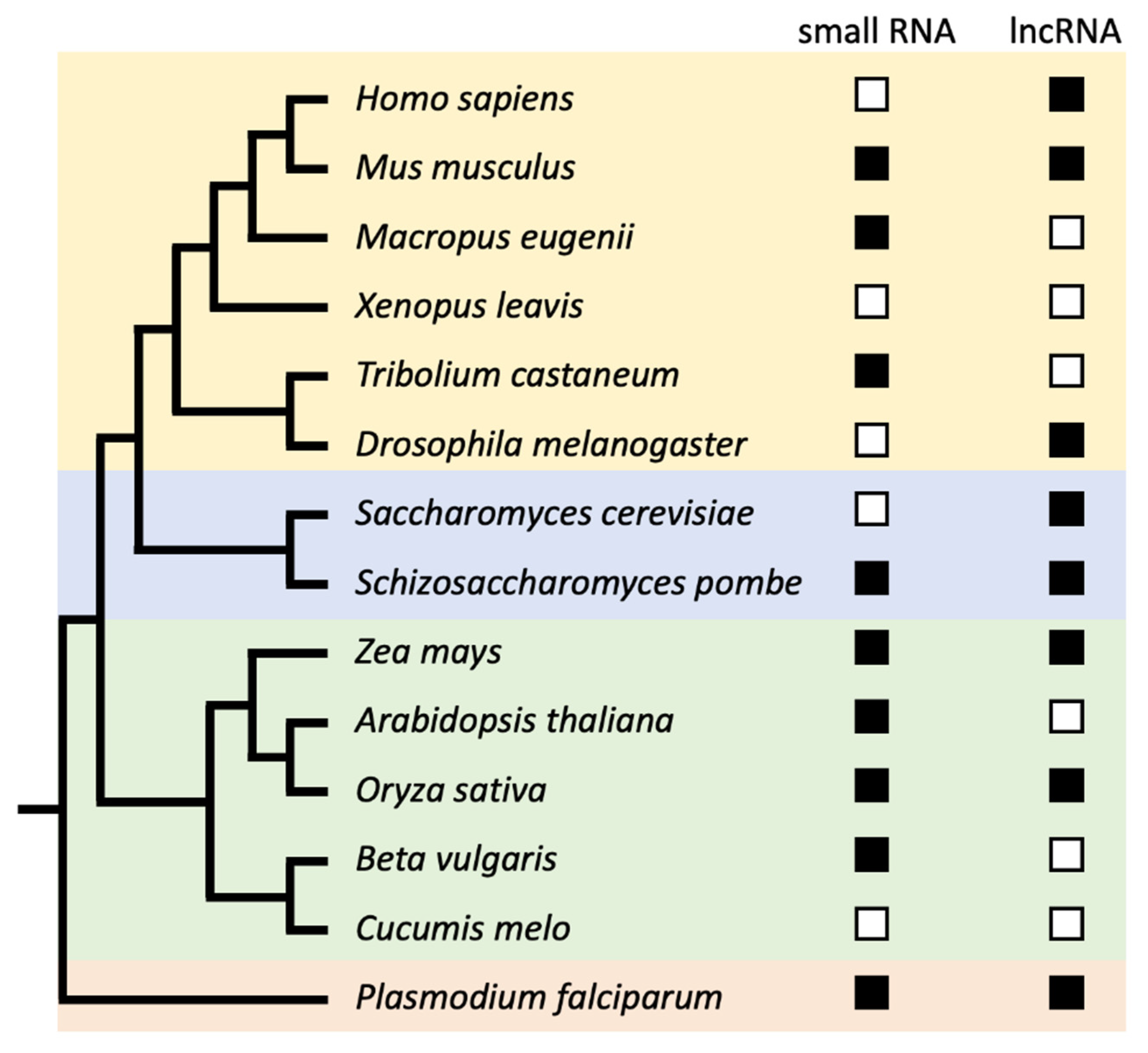 Genes 11 00911 g001 Genes 11 00911 g001