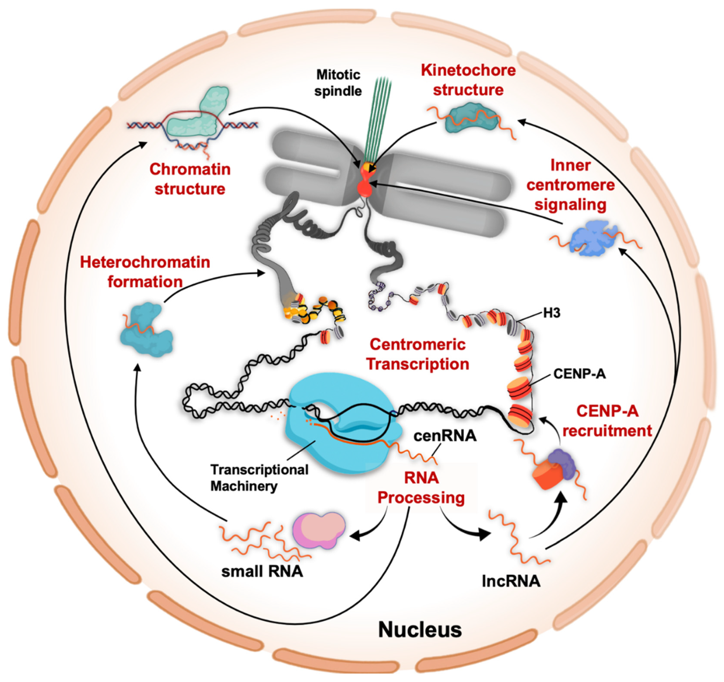 Genes 11 00911 g002 Genes 11 00911 g002