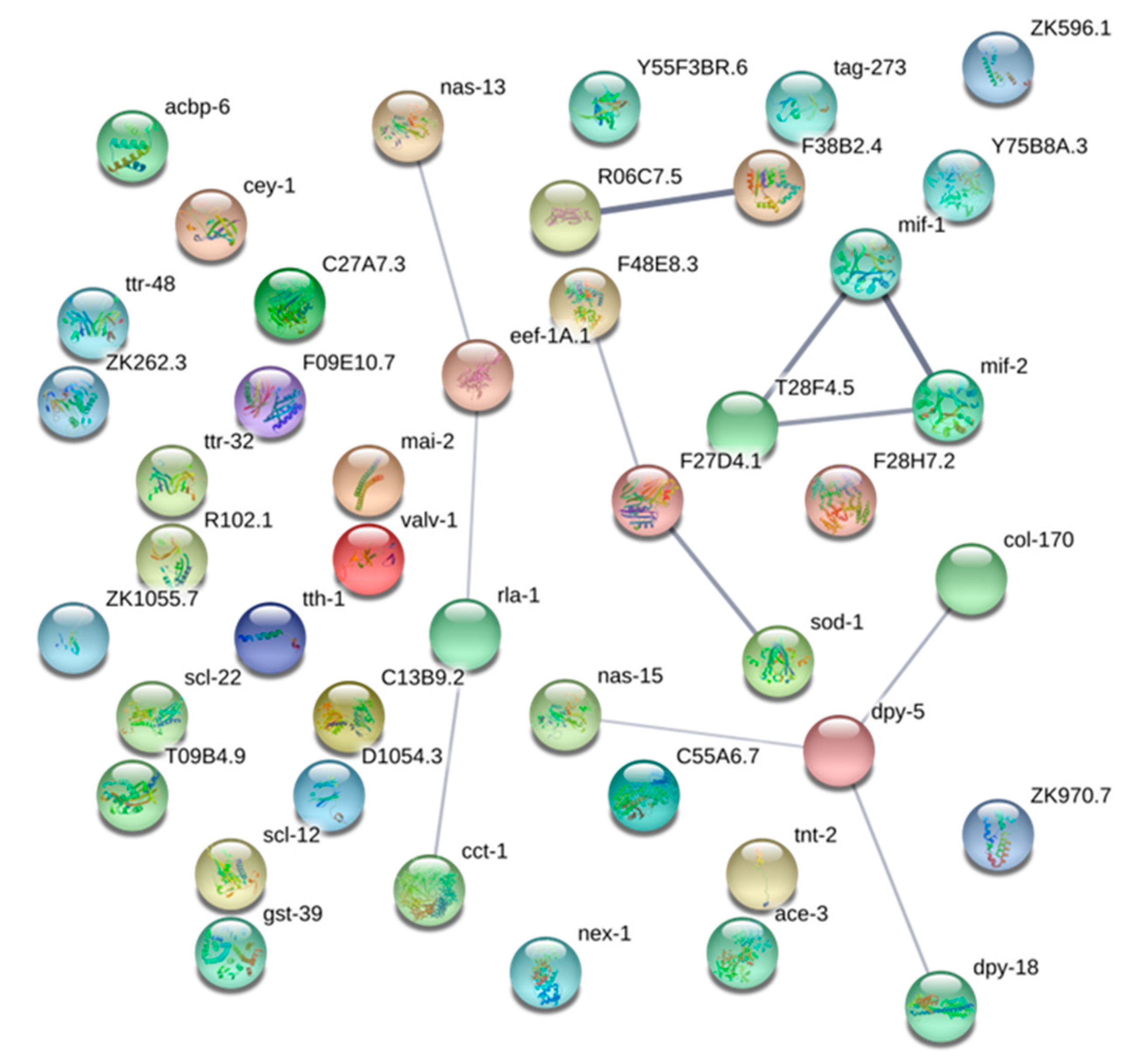 Genes 11 00913 g005 Genes 11 00913 g005