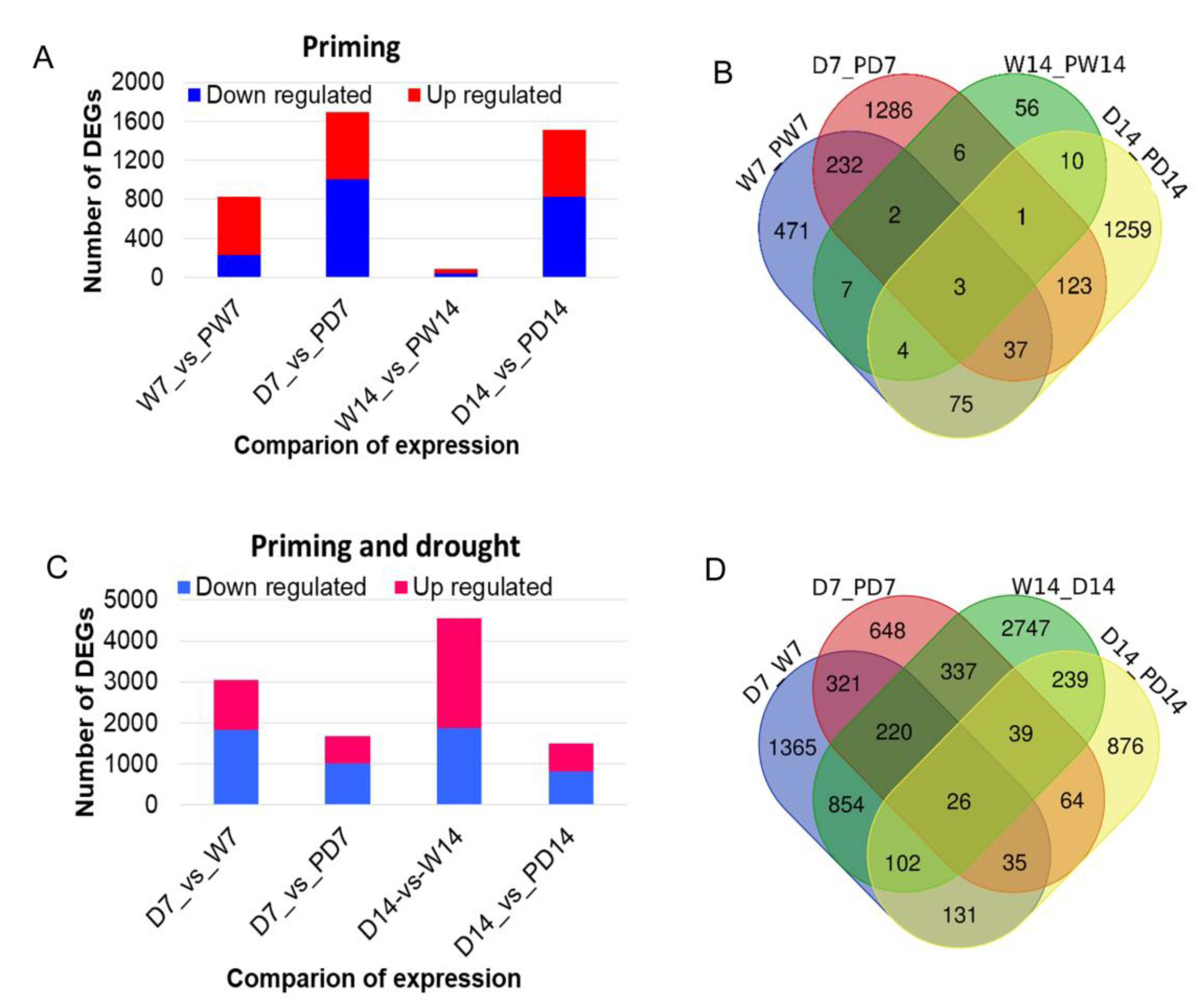 Genes 11 00919 g005