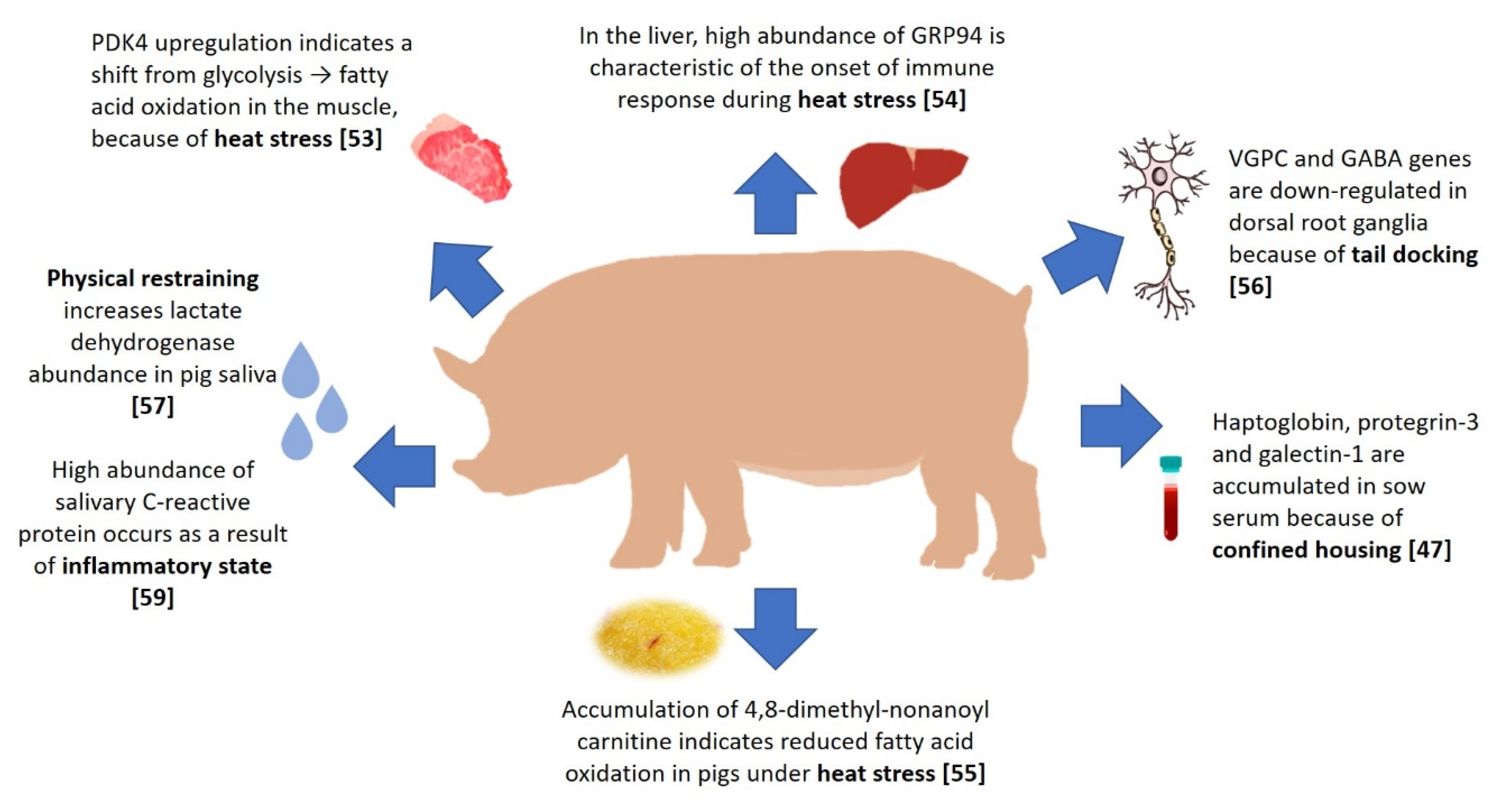Genes Free FullText Omics Application in Animal Science—A Special