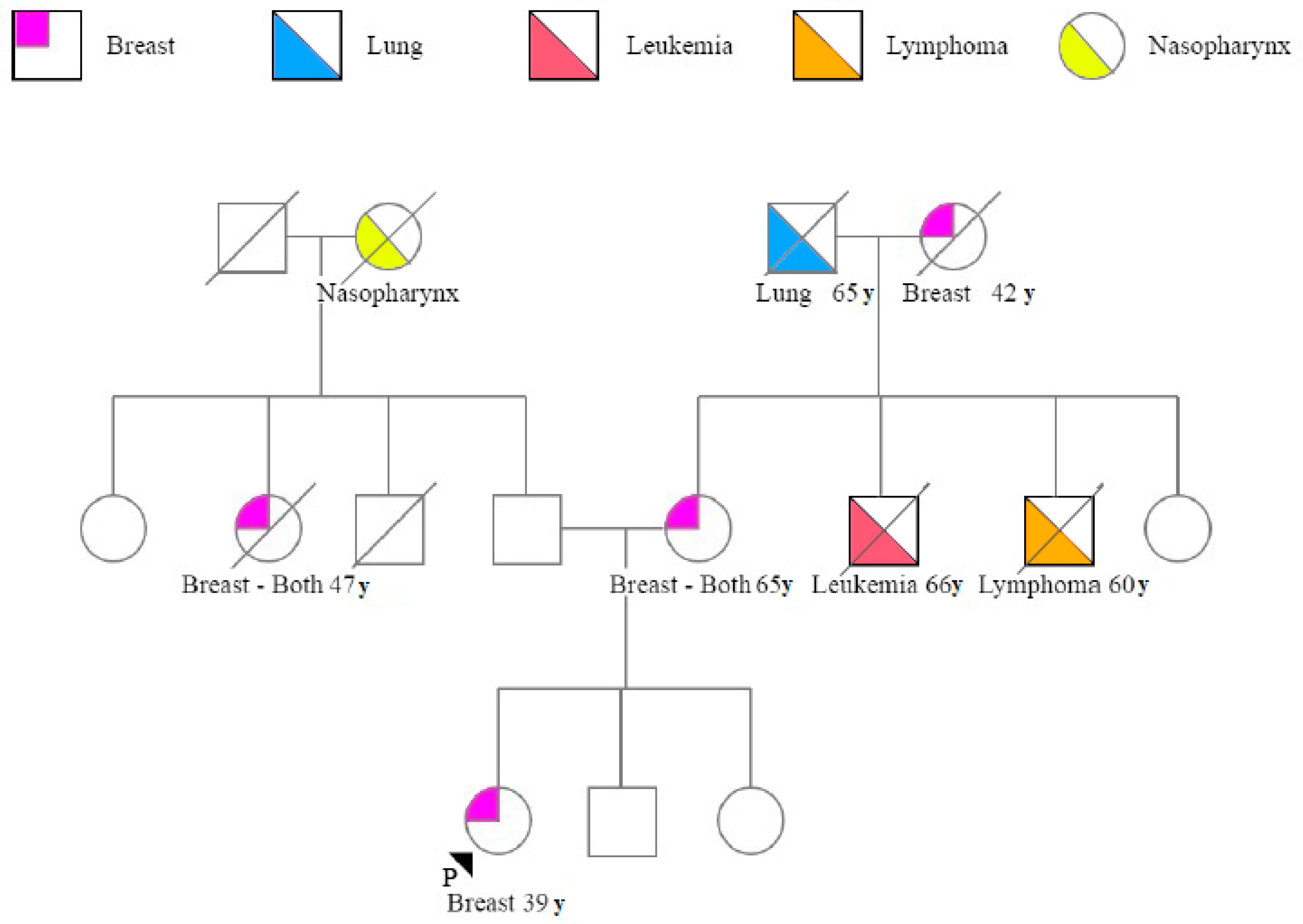Genes 11 00925 g002