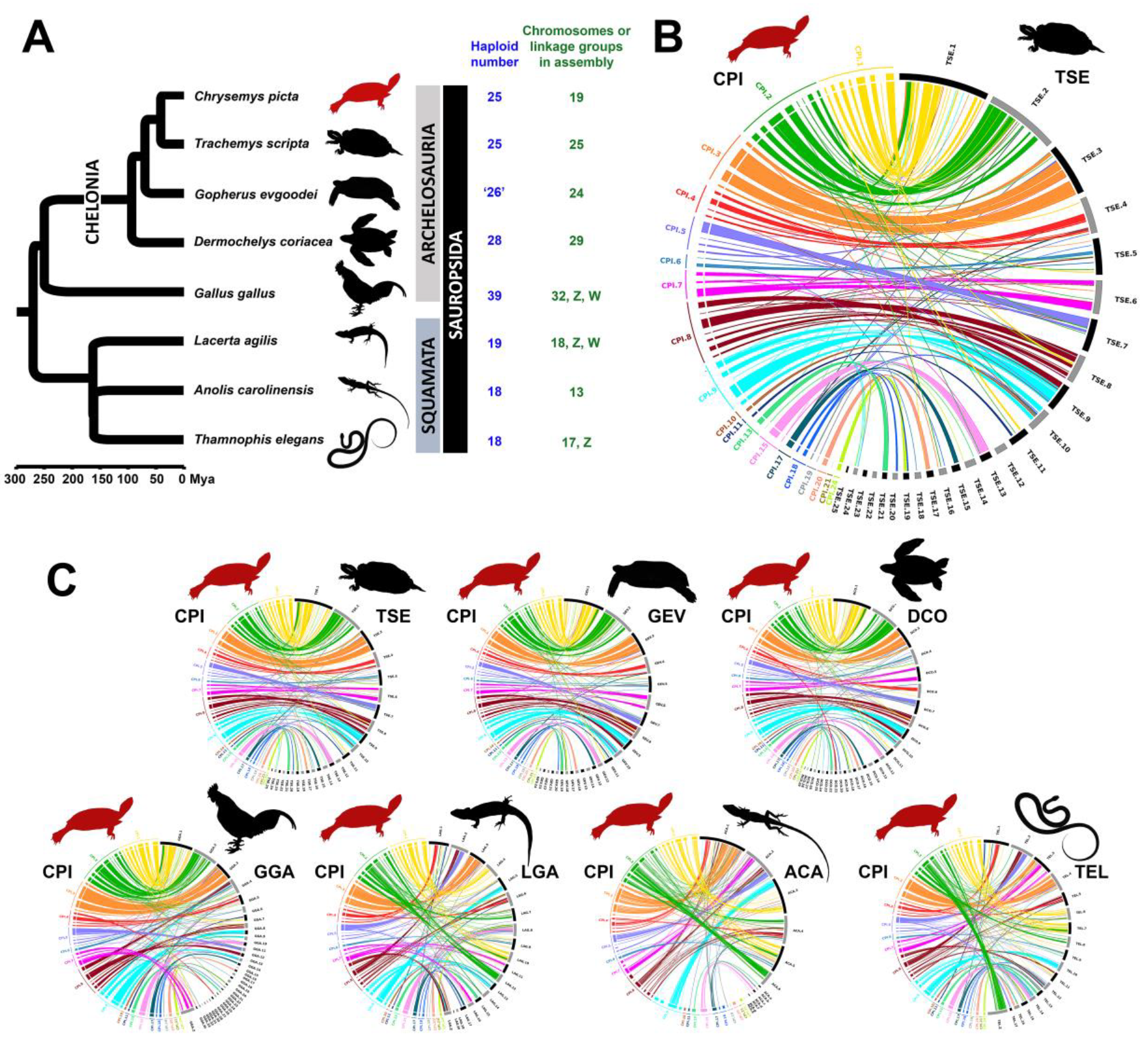 Genes 11 00928 g004 Genes 11 00928 g004