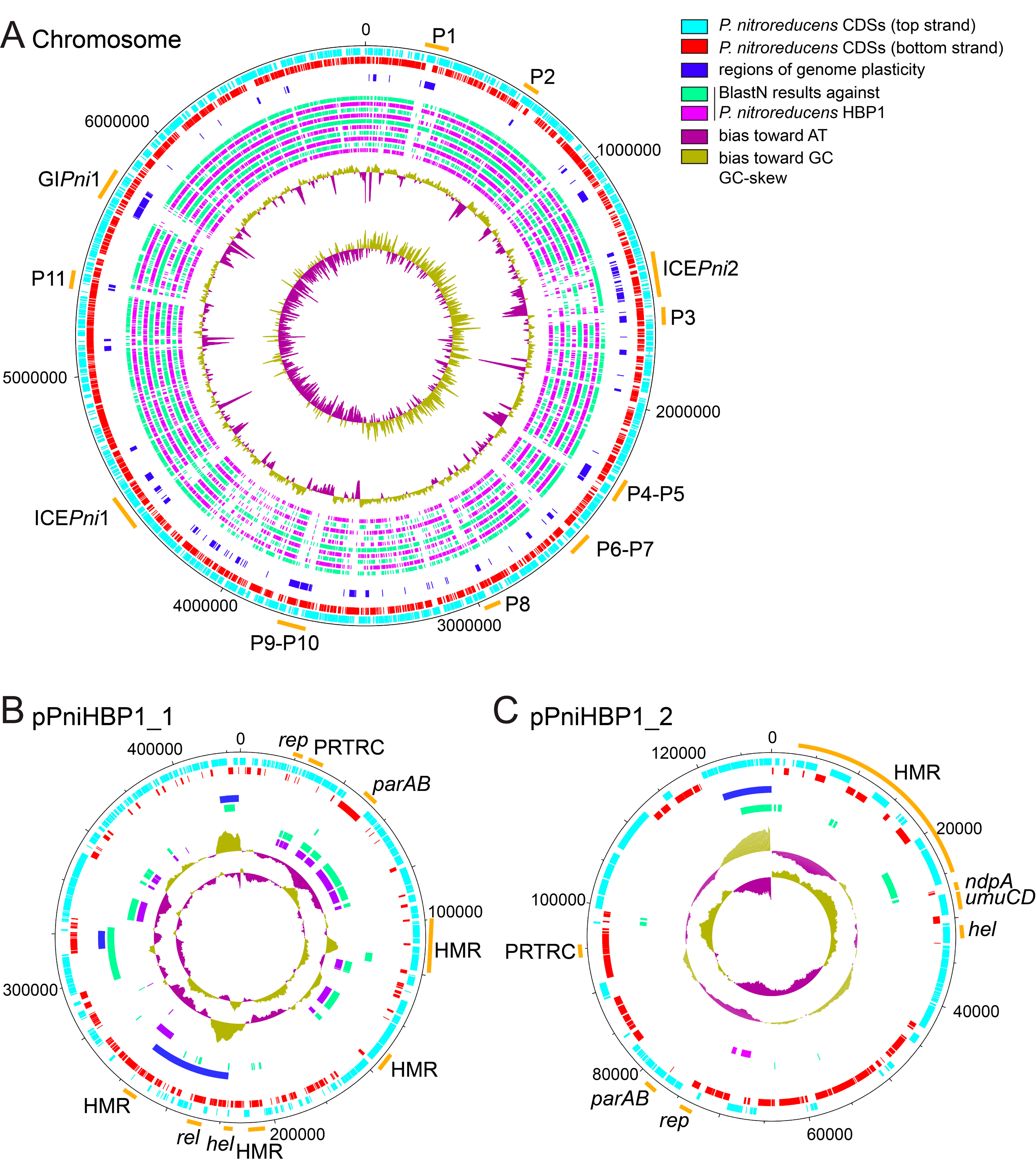 Genes 11 00930 g001