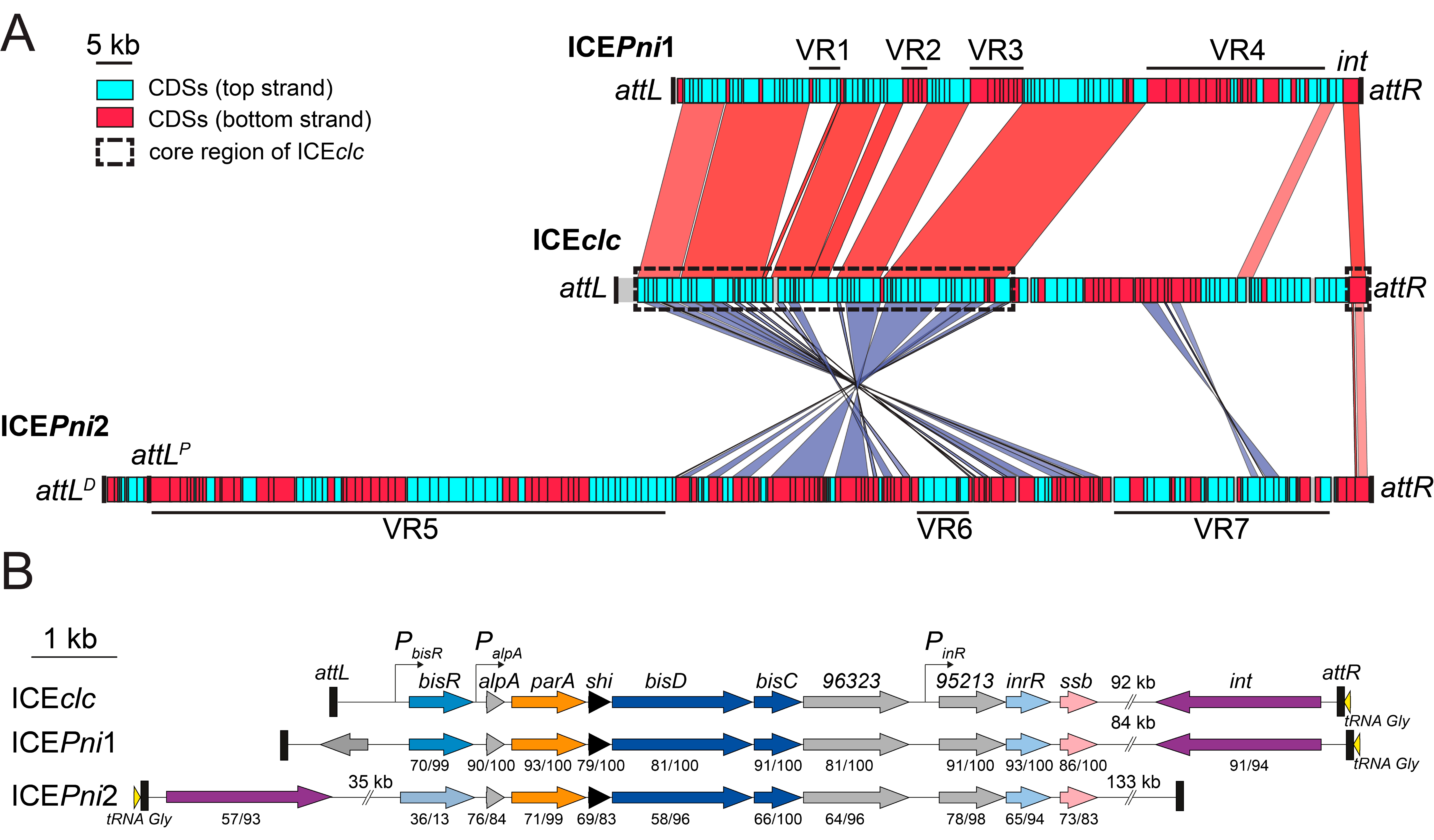 Genes 11 00930 g002