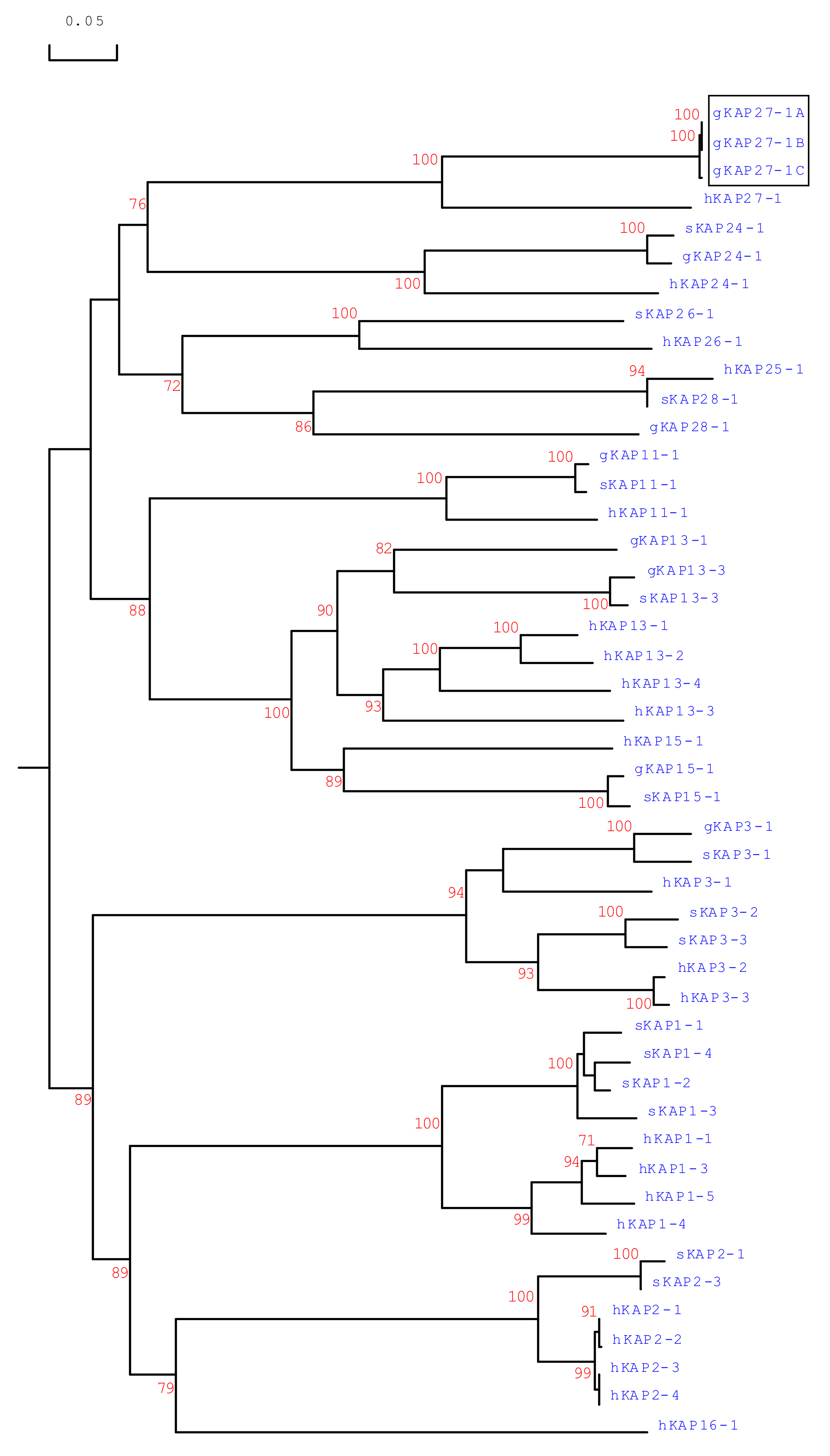 Genes 11 00934 g004 Genes 11 00934 g004