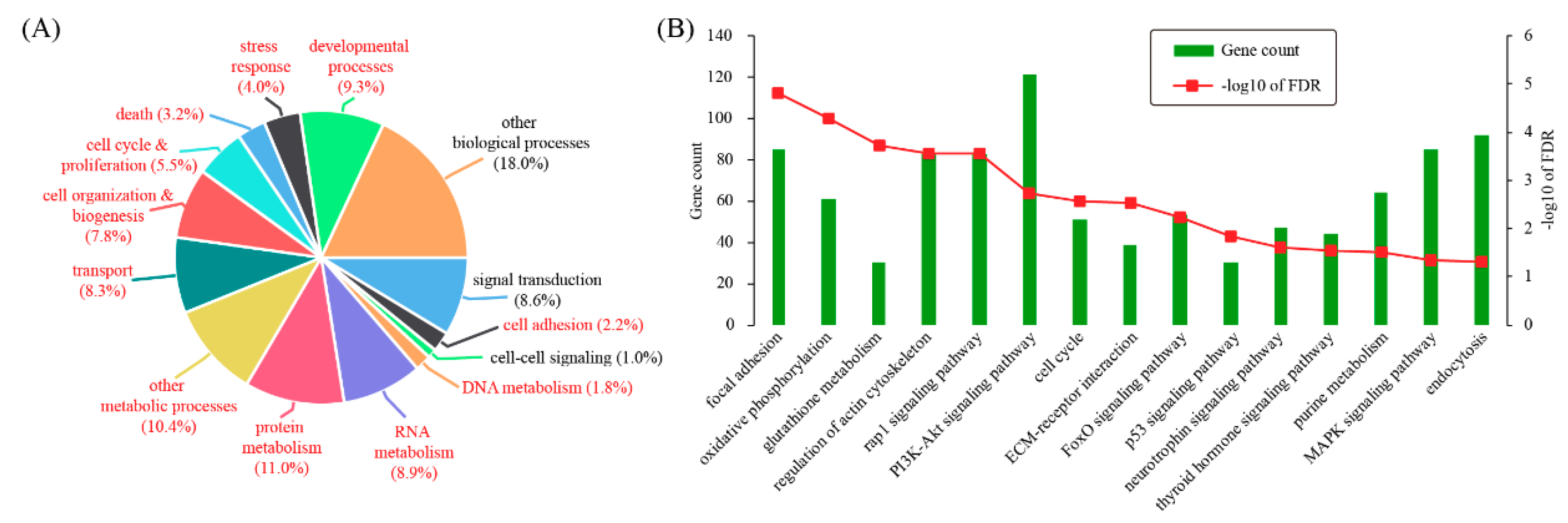 Genes 11 00935 g002