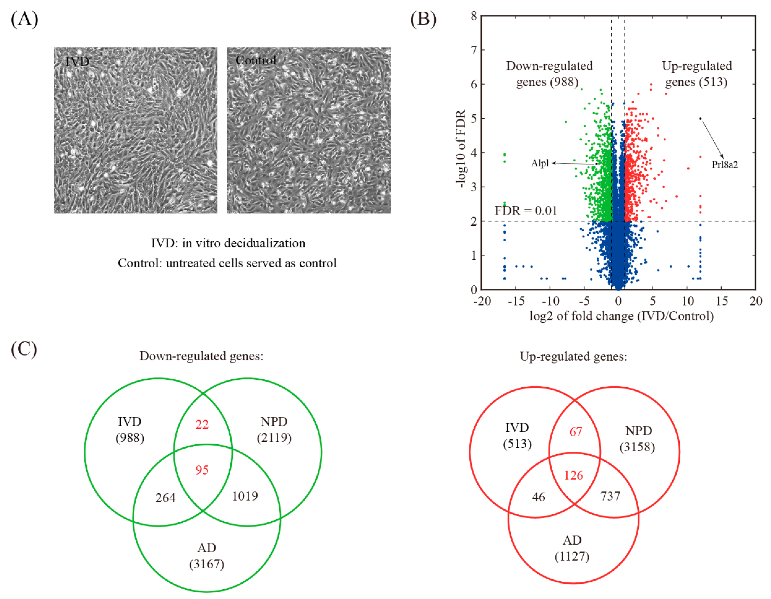 Genes 11 00935 g006