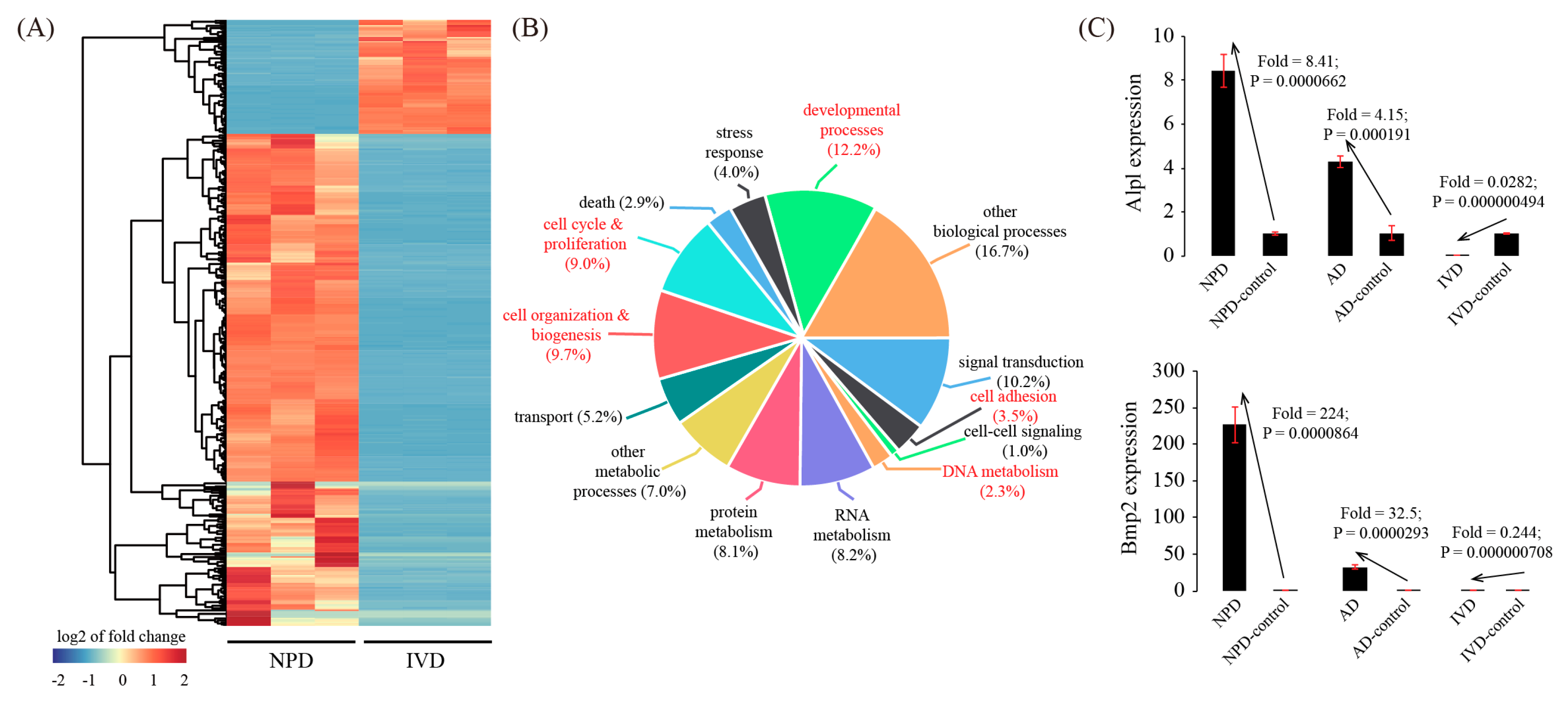 Genes 11 00935 g007