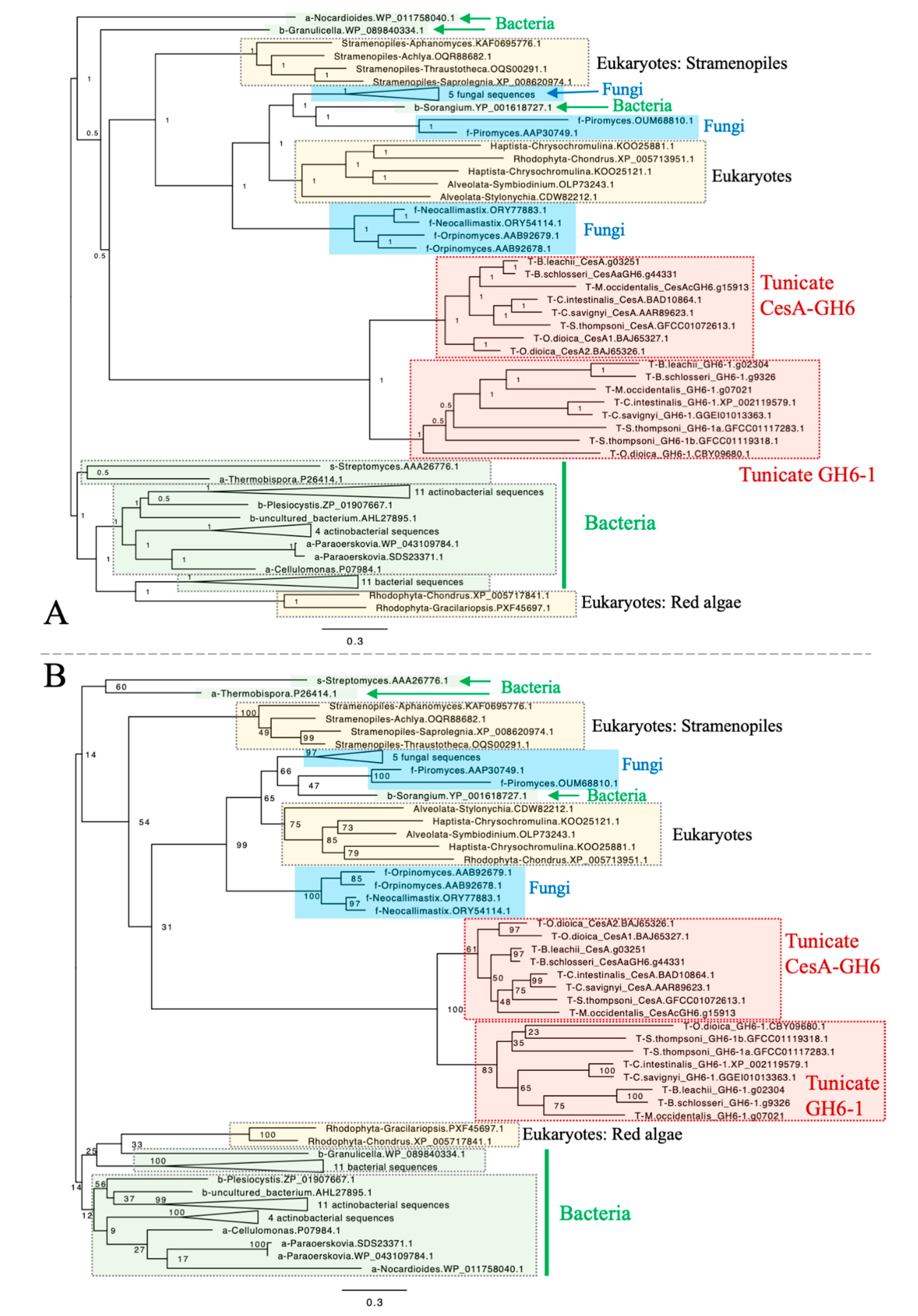 Genes 11 00937 g002 Genes 11 00937 g002