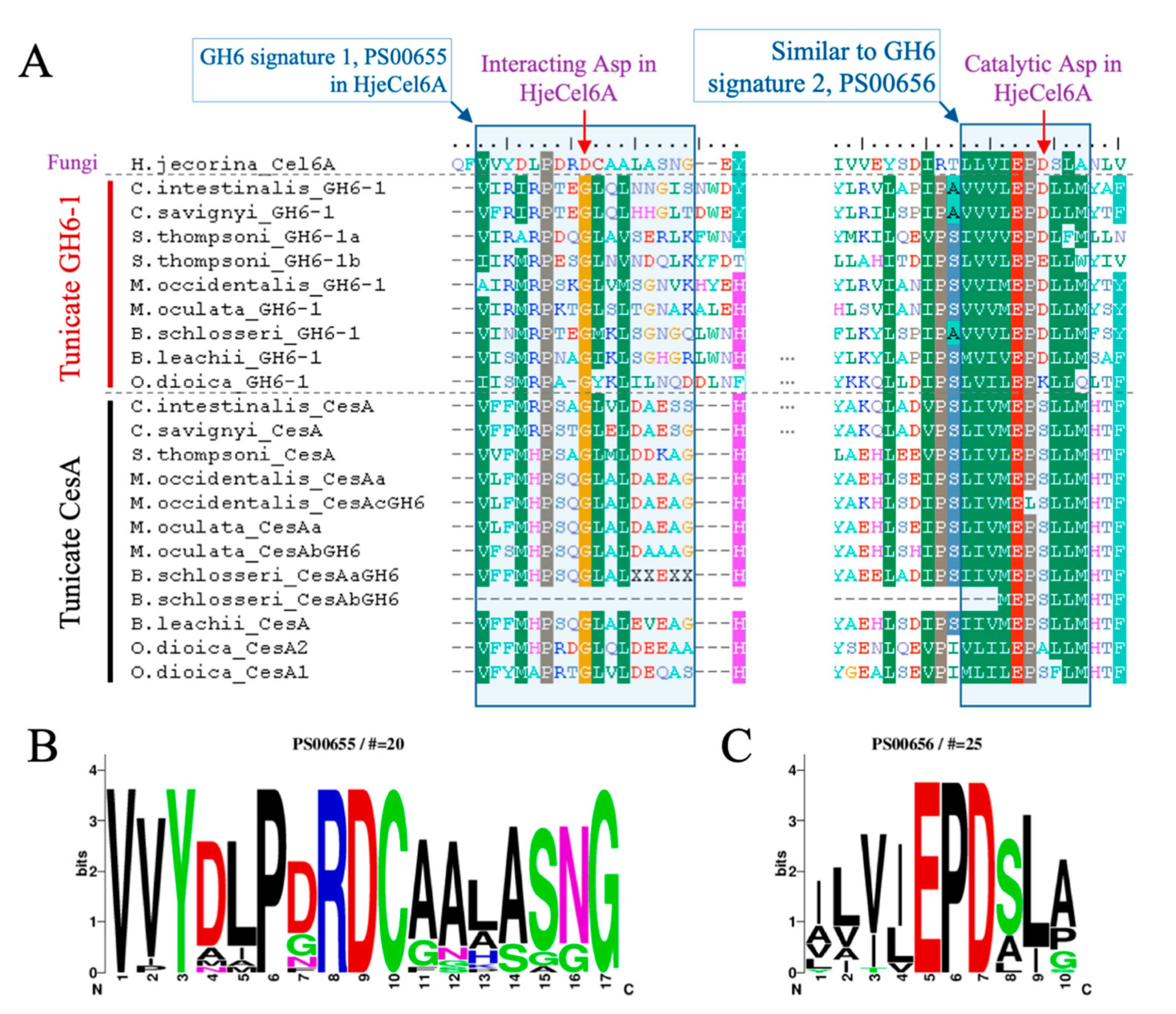Genes 11 00937 g003 Genes 11 00937 g003