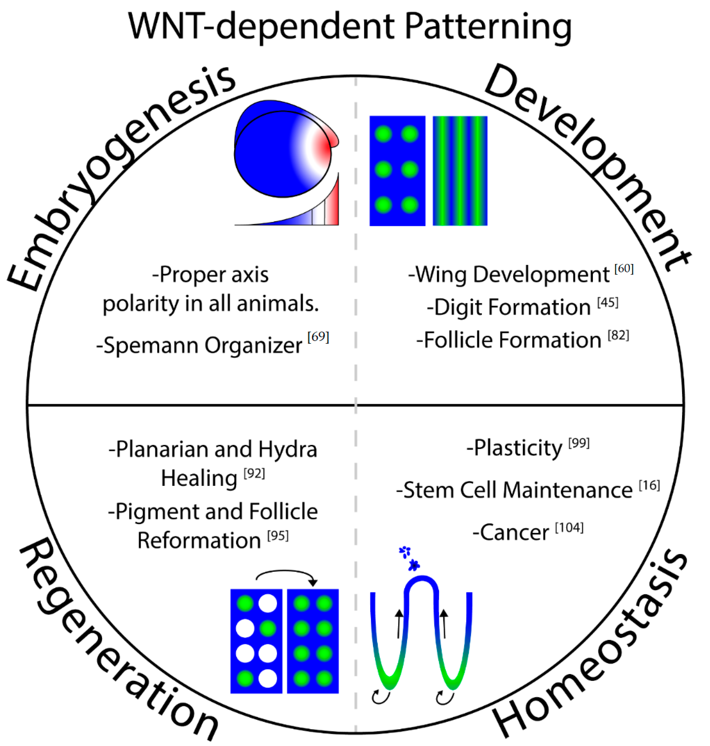 Genes 11 00939 g002 Genes 11 00939 g002