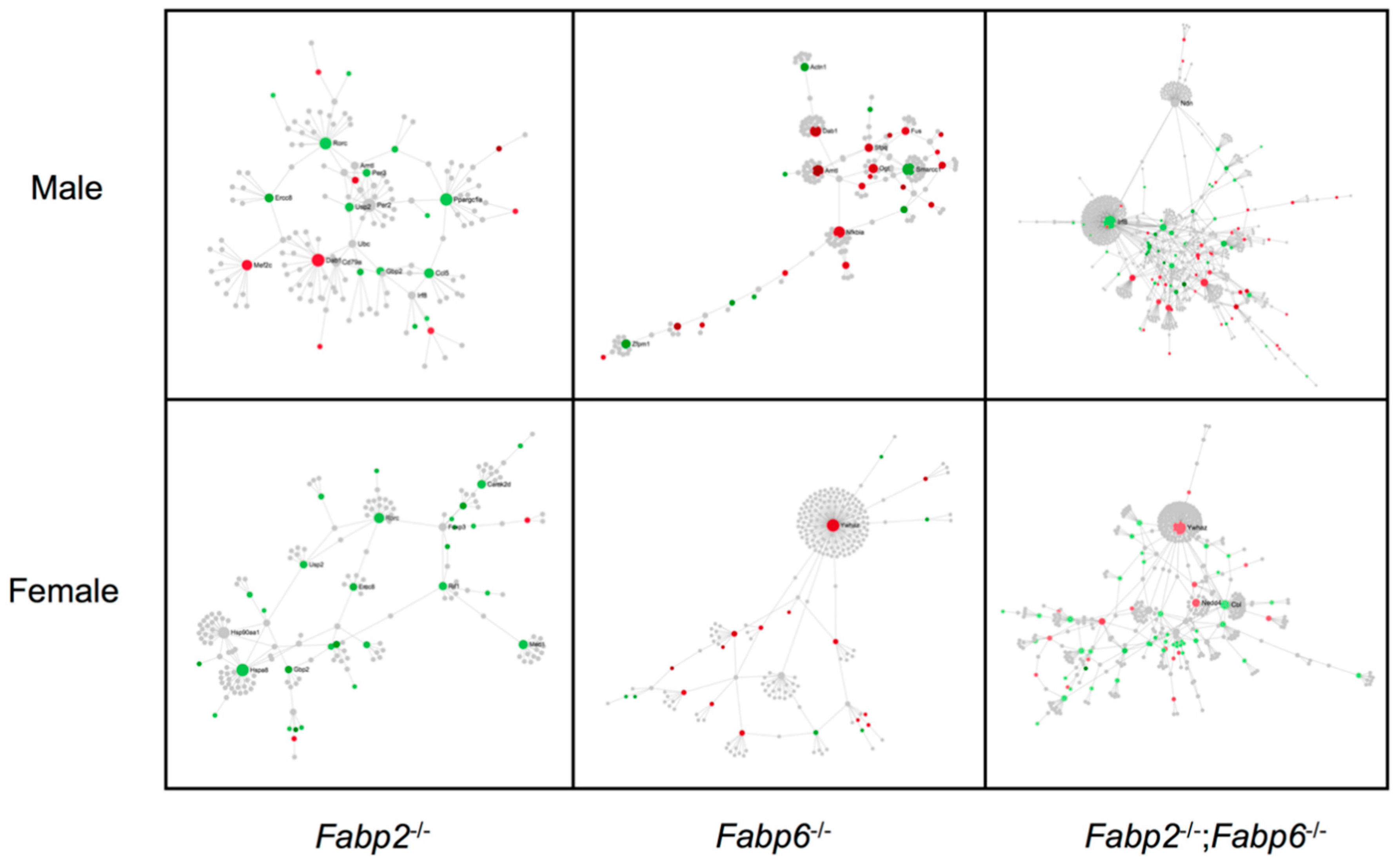 Genes 11 00943 g004 Genes 11 00943 g004