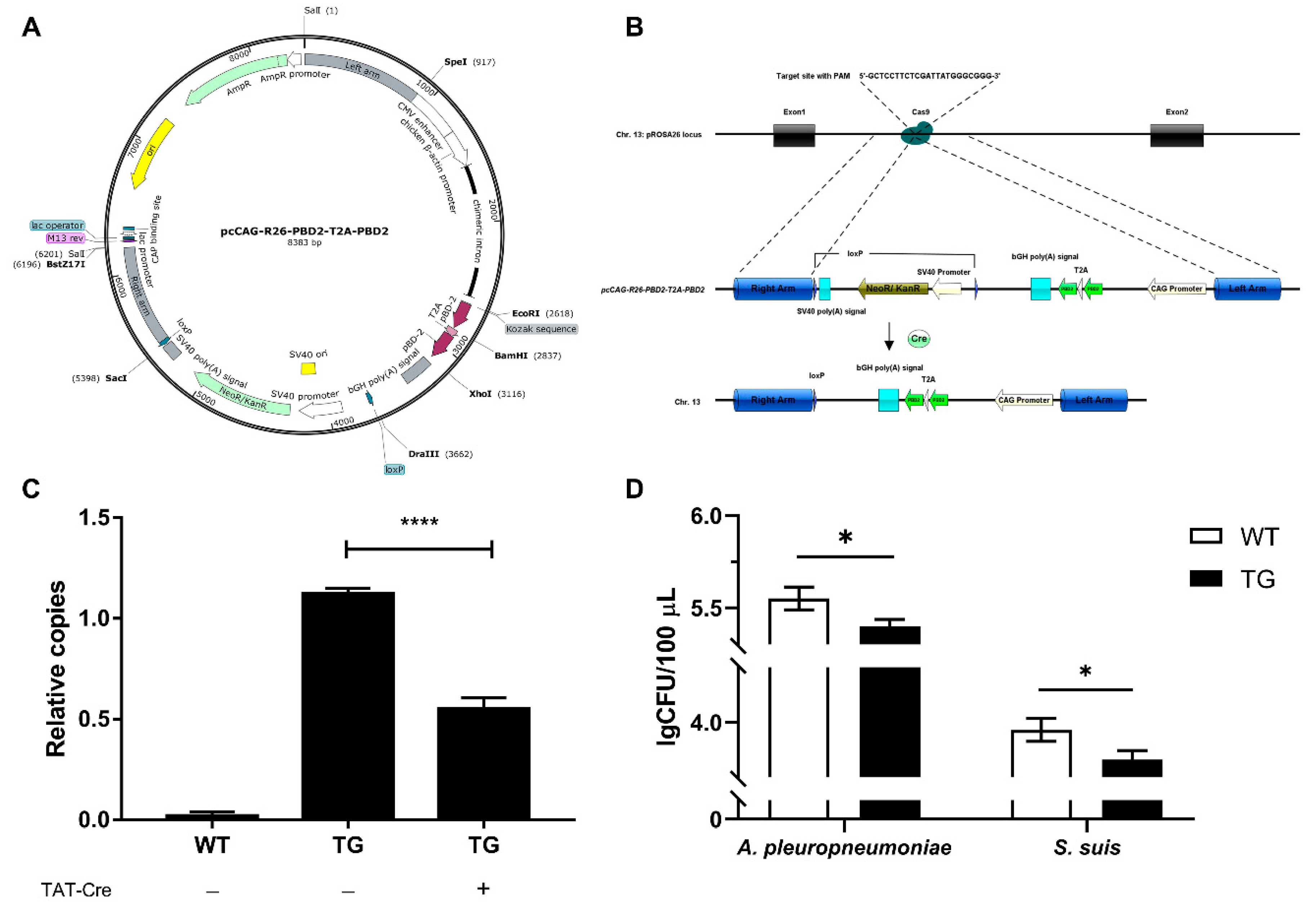 Genes 11 00951 g001