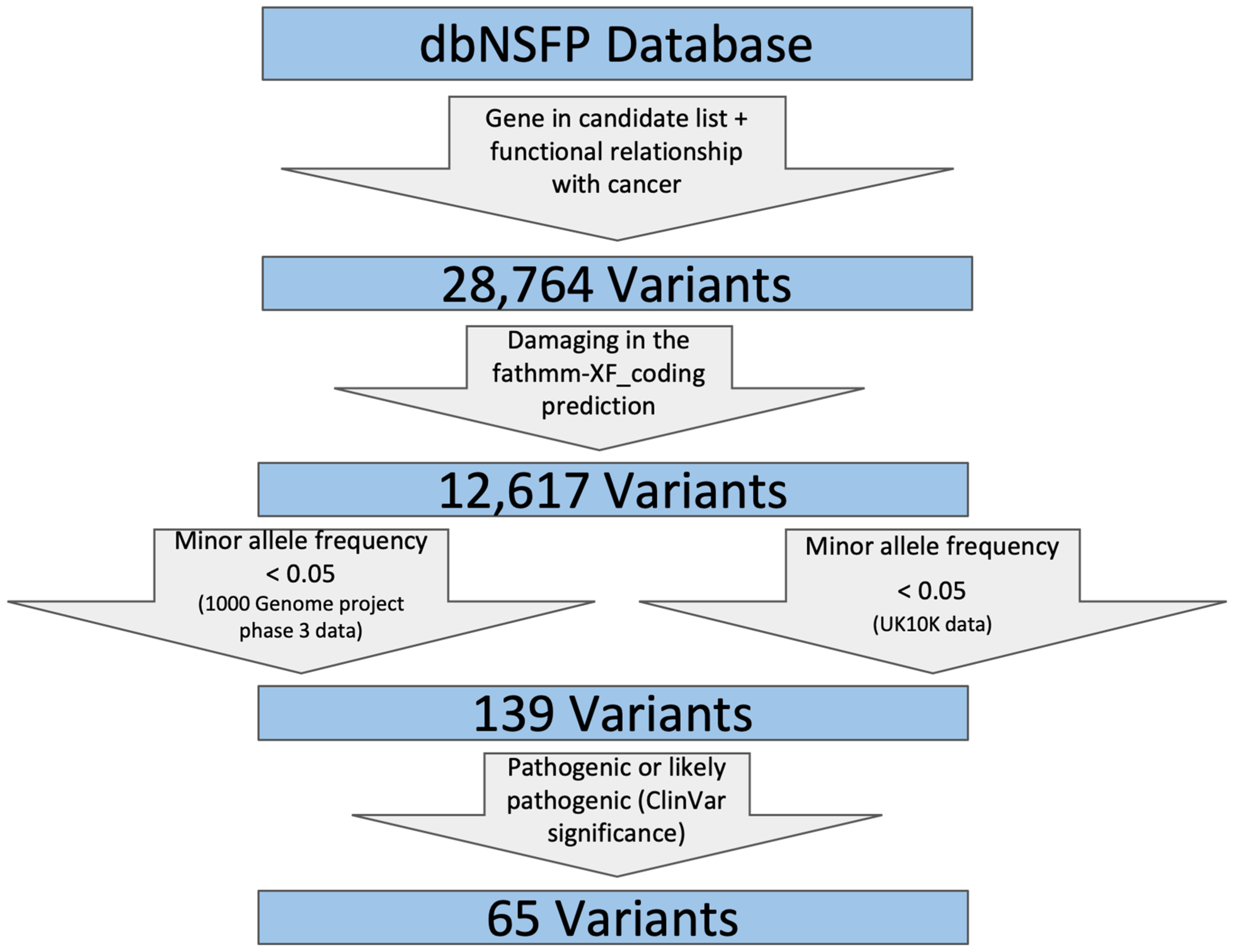Genes 11 00953 g002 Genes 11 00953 g002