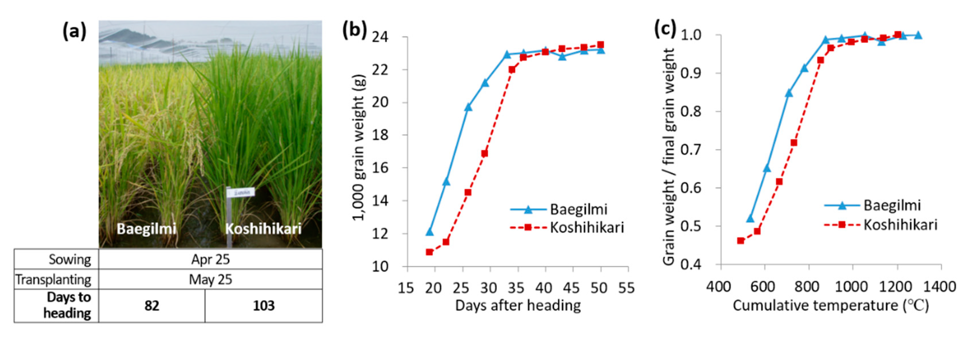 Genes 11 00957 g001 Genes 11 00957 g001