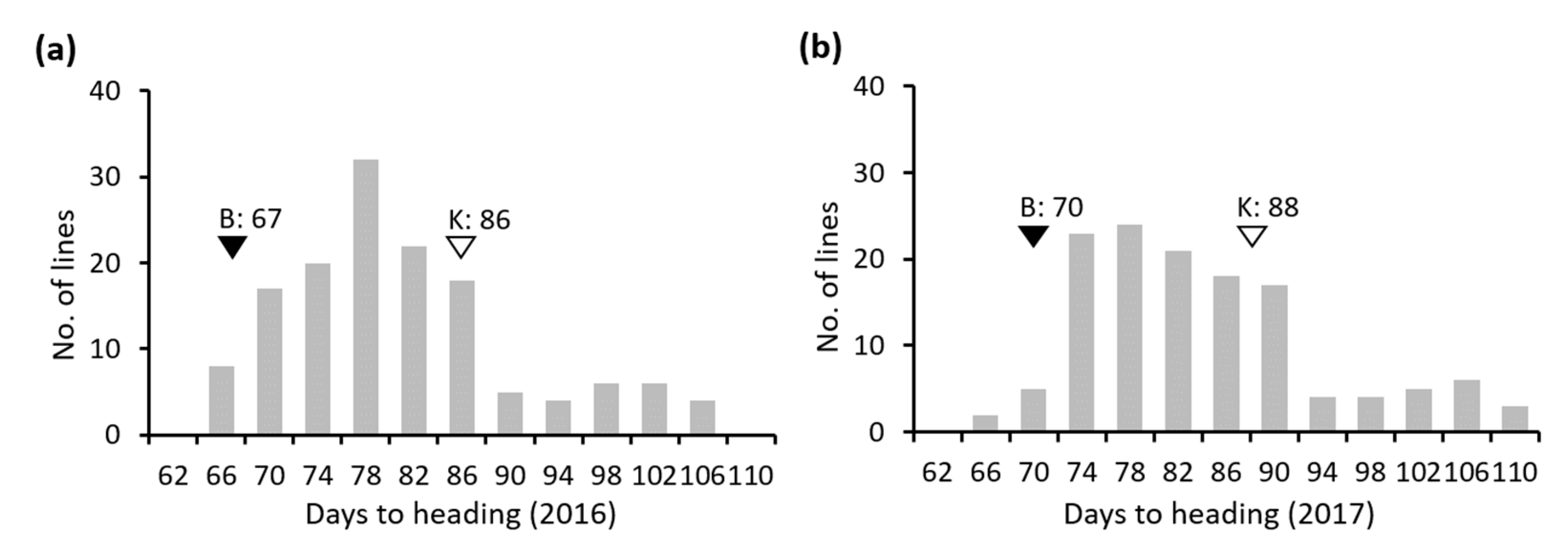 Genes 11 00957 g002 Genes 11 00957 g002