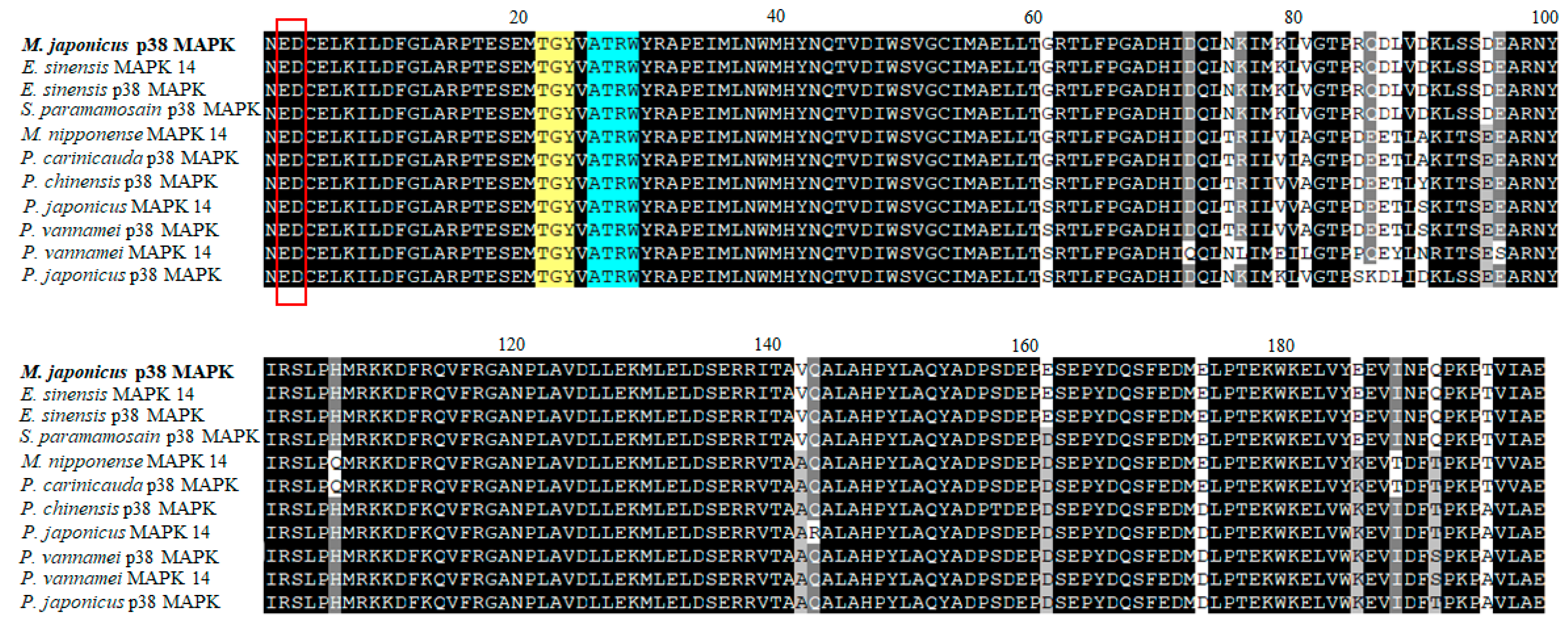 Genes 11 00958 g001 Genes 11 00958 g001