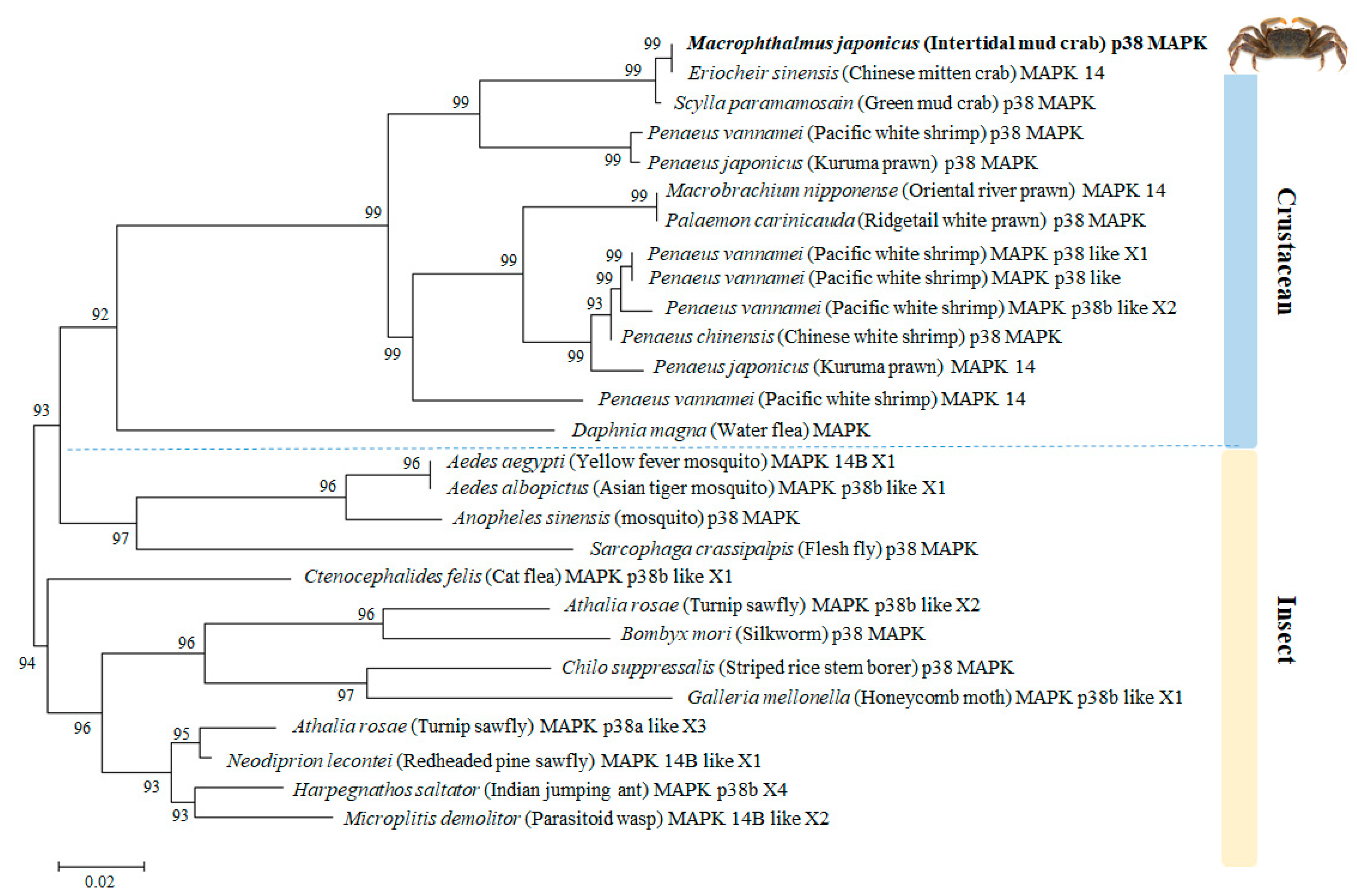 Genes 11 00958 g002 Genes 11 00958 g002