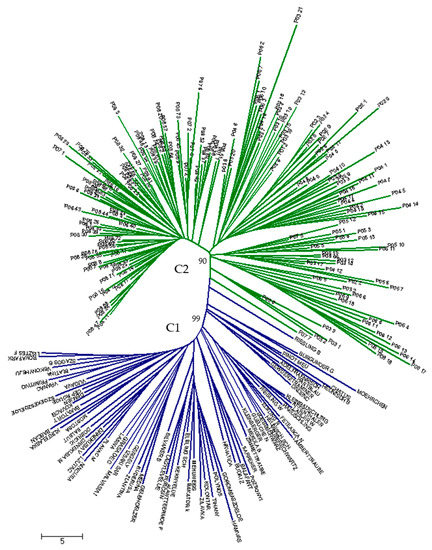 Genes Special Issue Genetics And Diversity Of Grapevine