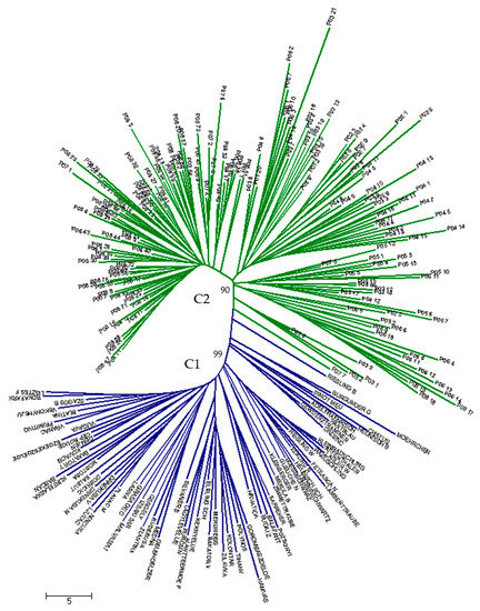 Genes Special Issue Genetics And Diversity Of Grapevine Genes Special Issue Genetics And Diversity Of Grapevine