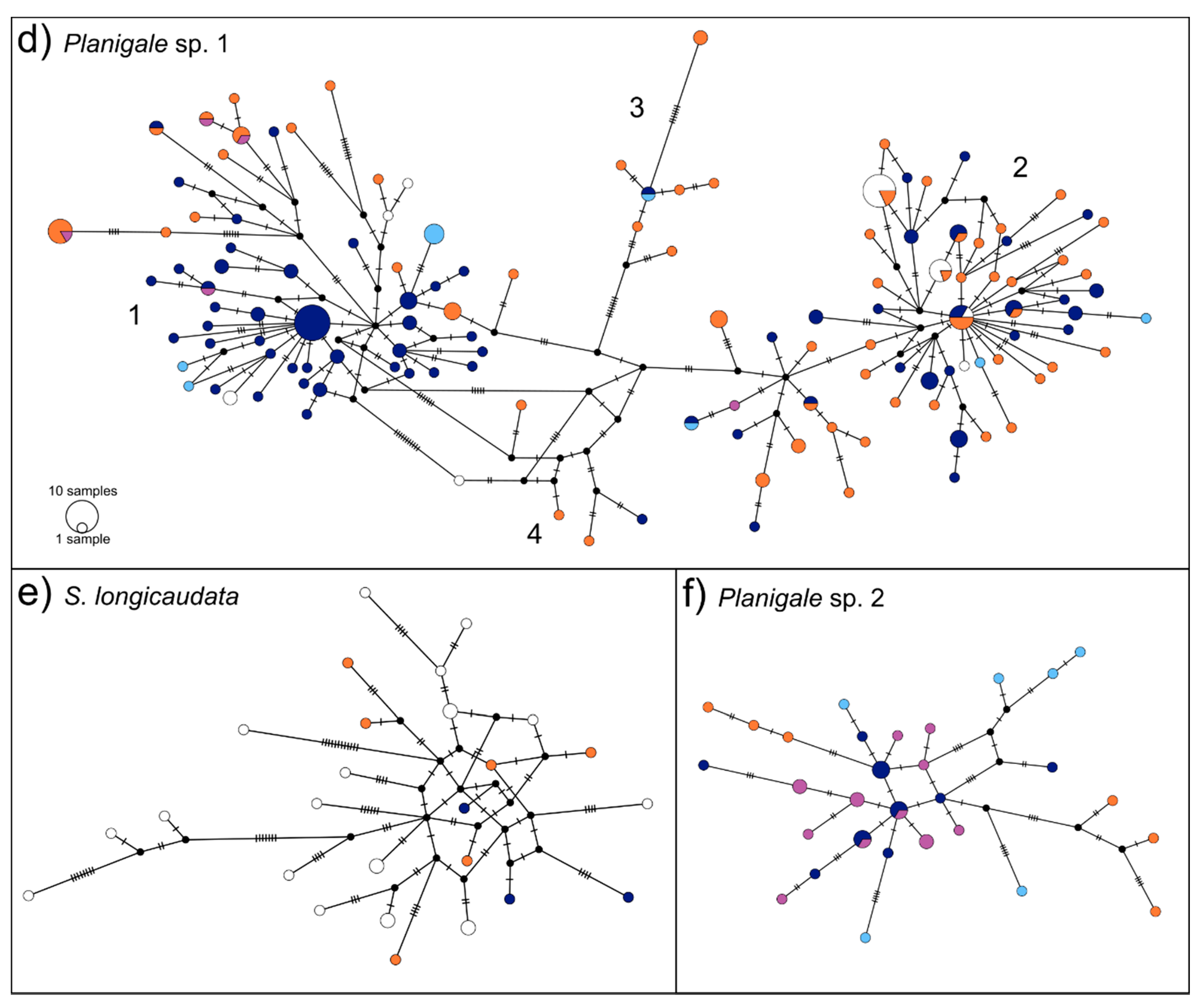 Genes 11 00963 g003b