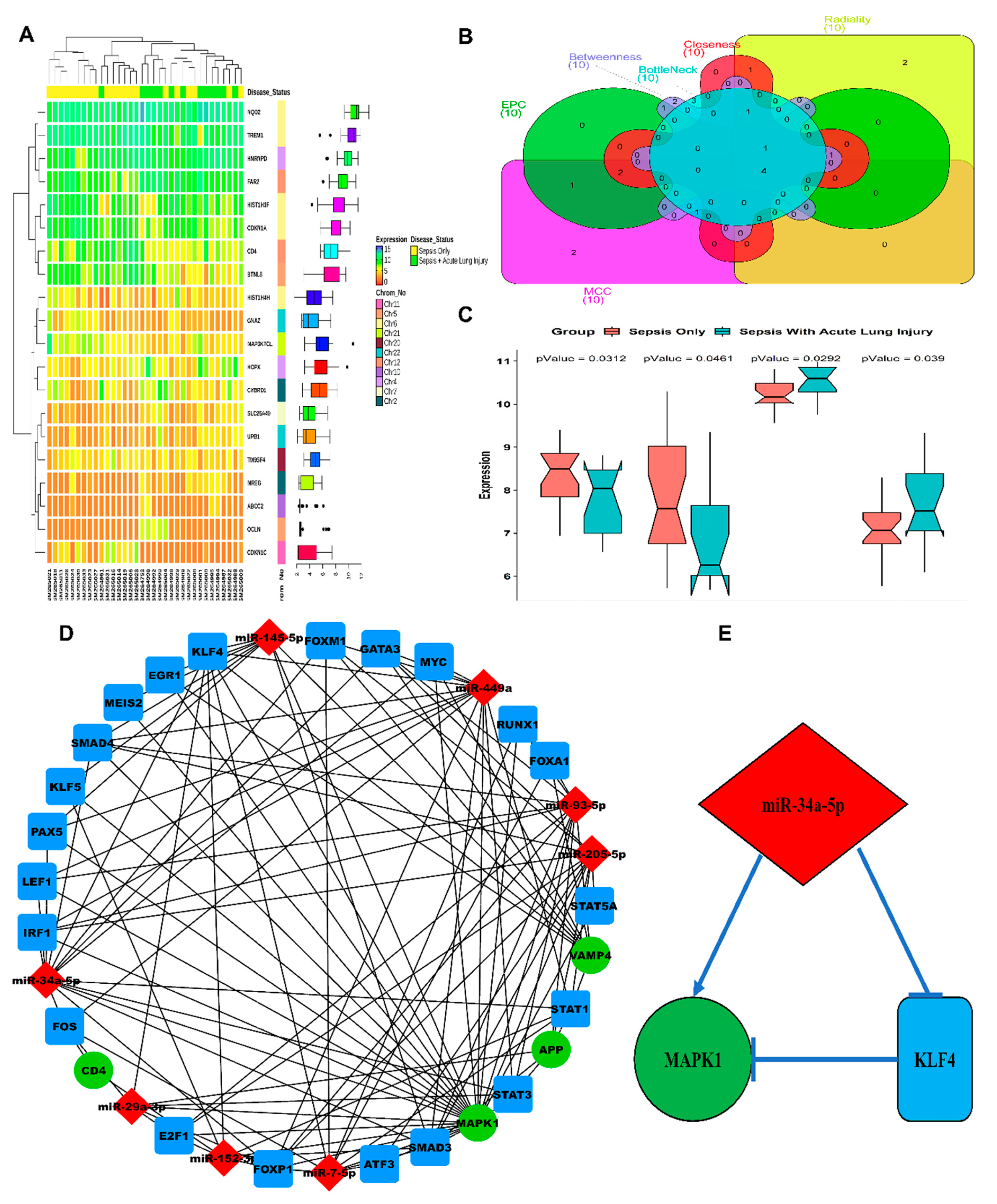 Genes 11 00966 g001 Genes 11 00966 g001