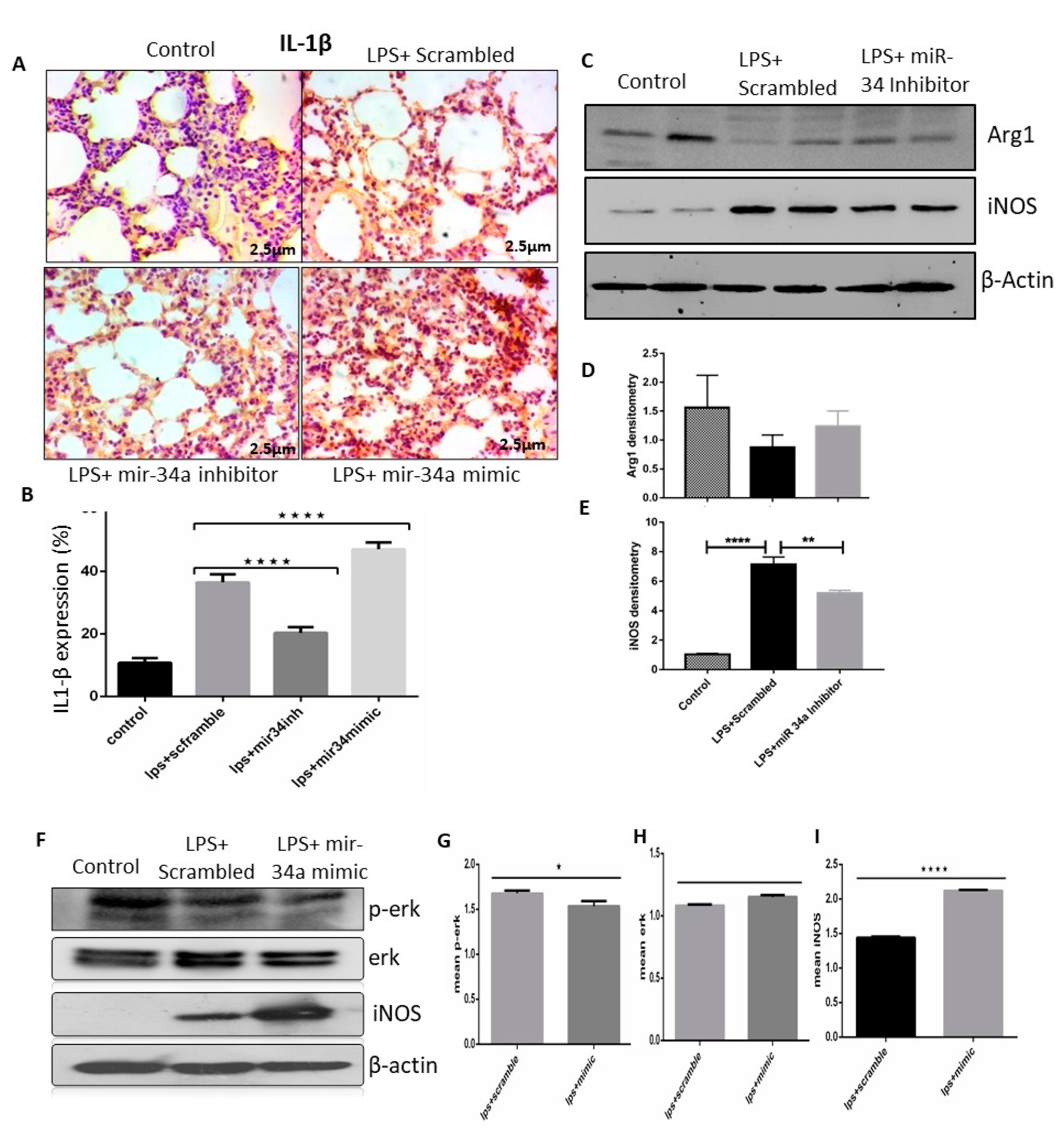 Genes 11 00966 g006 Genes 11 00966 g006