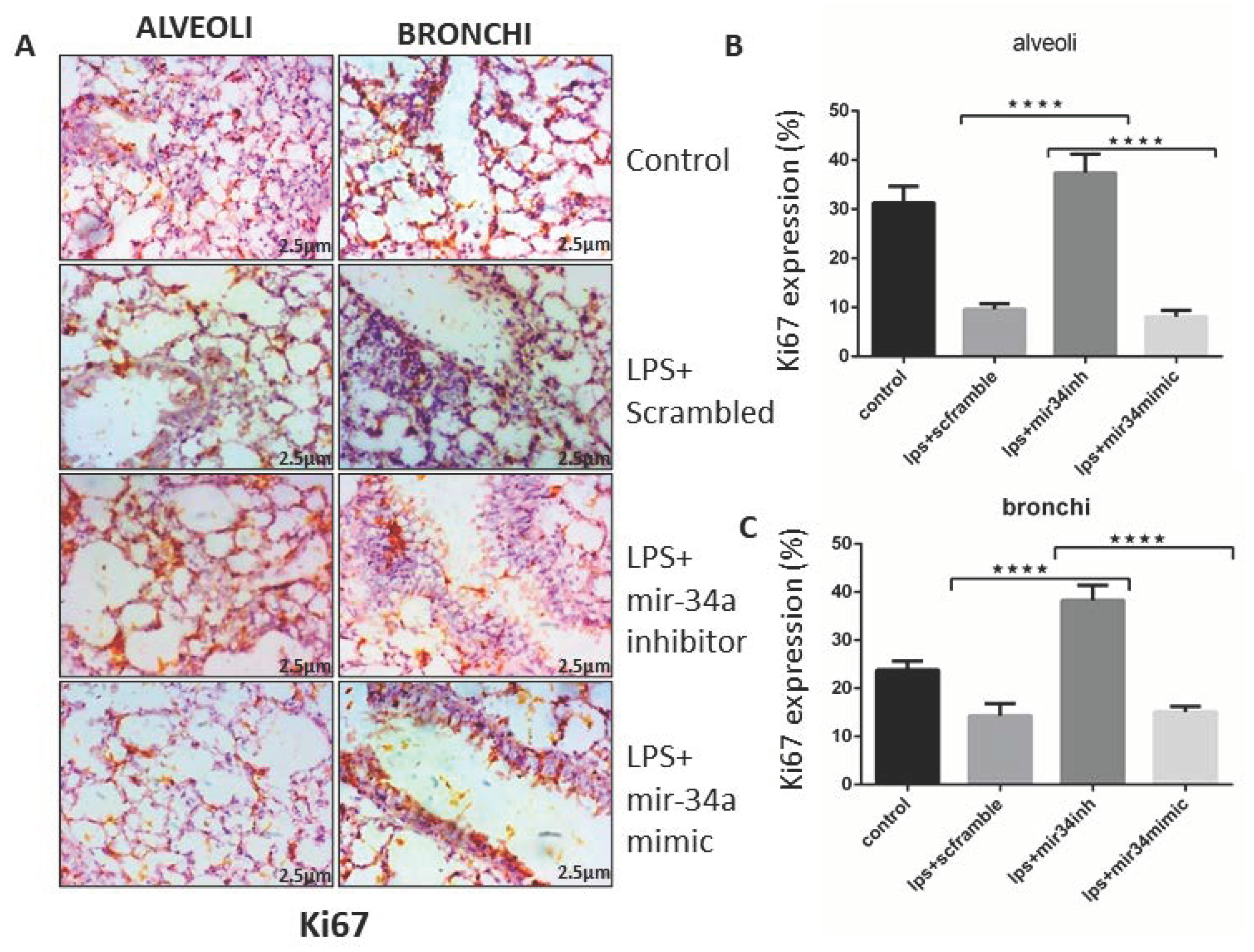 Genes 11 00966 g007 Genes 11 00966 g007