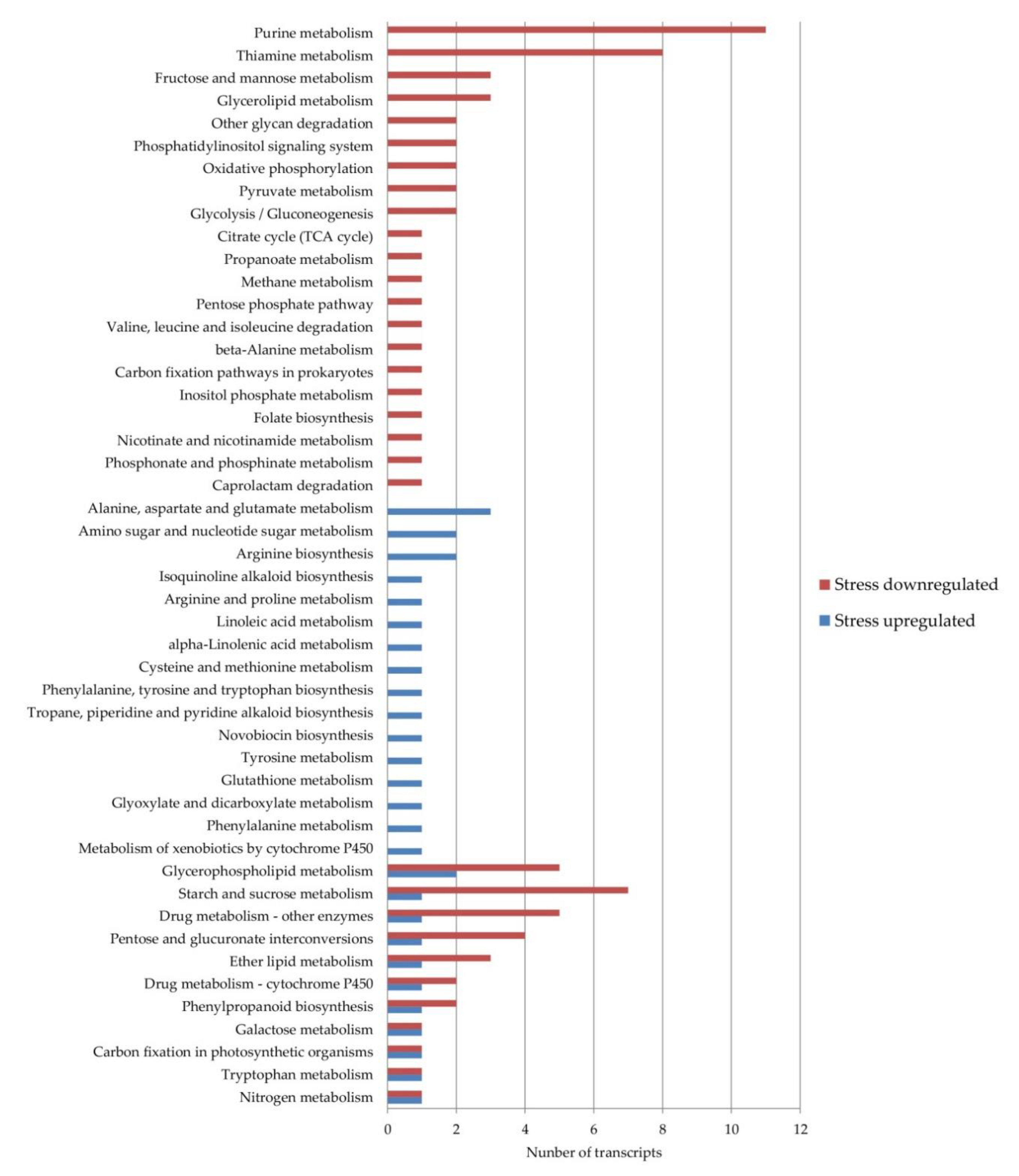 Genes 11 00969 g002 Genes 11 00969 g002