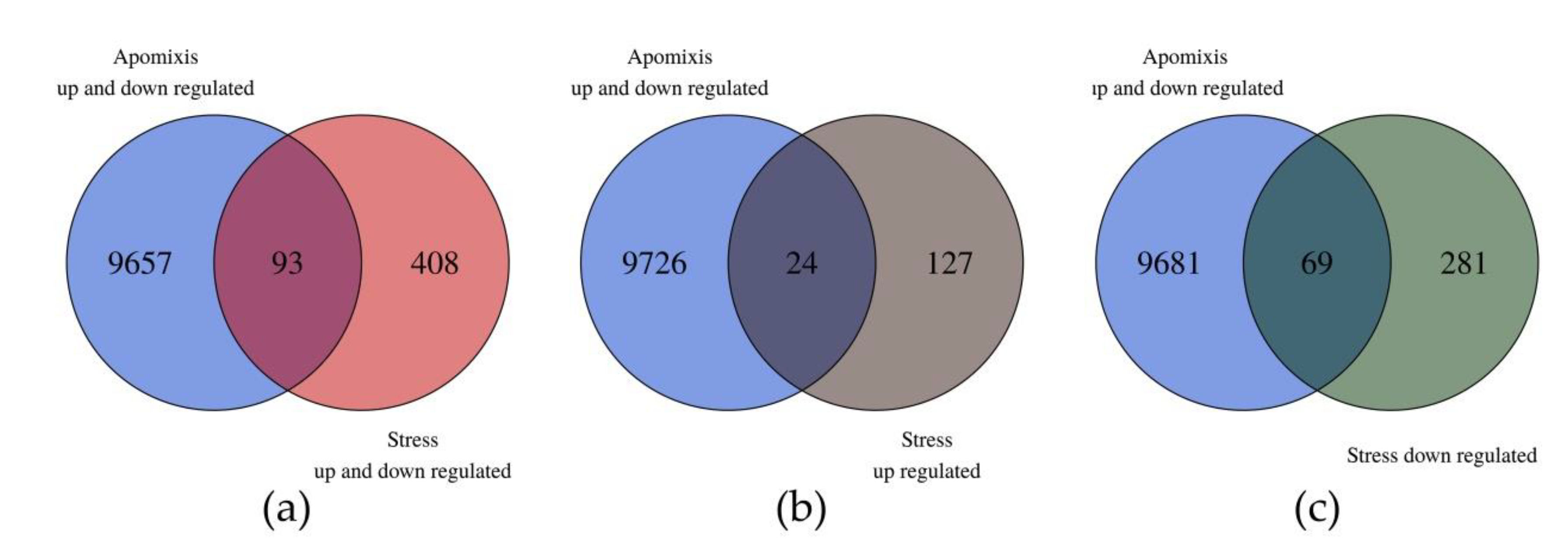 Genes 11 00969 g003 Genes 11 00969 g003